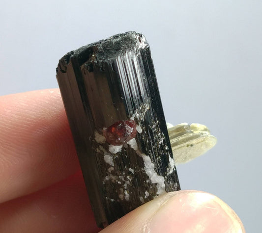 ARSAA GEMS AND MINERALSTop Quality beautiful natural 16.2 grams terminated crystal of black tourmaline with spessartine garnet and muscovite - Premium  from ARSAA GEMS AND MINERALS - Just $40.00! Shop now at ARSAA GEMS AND MINERALS