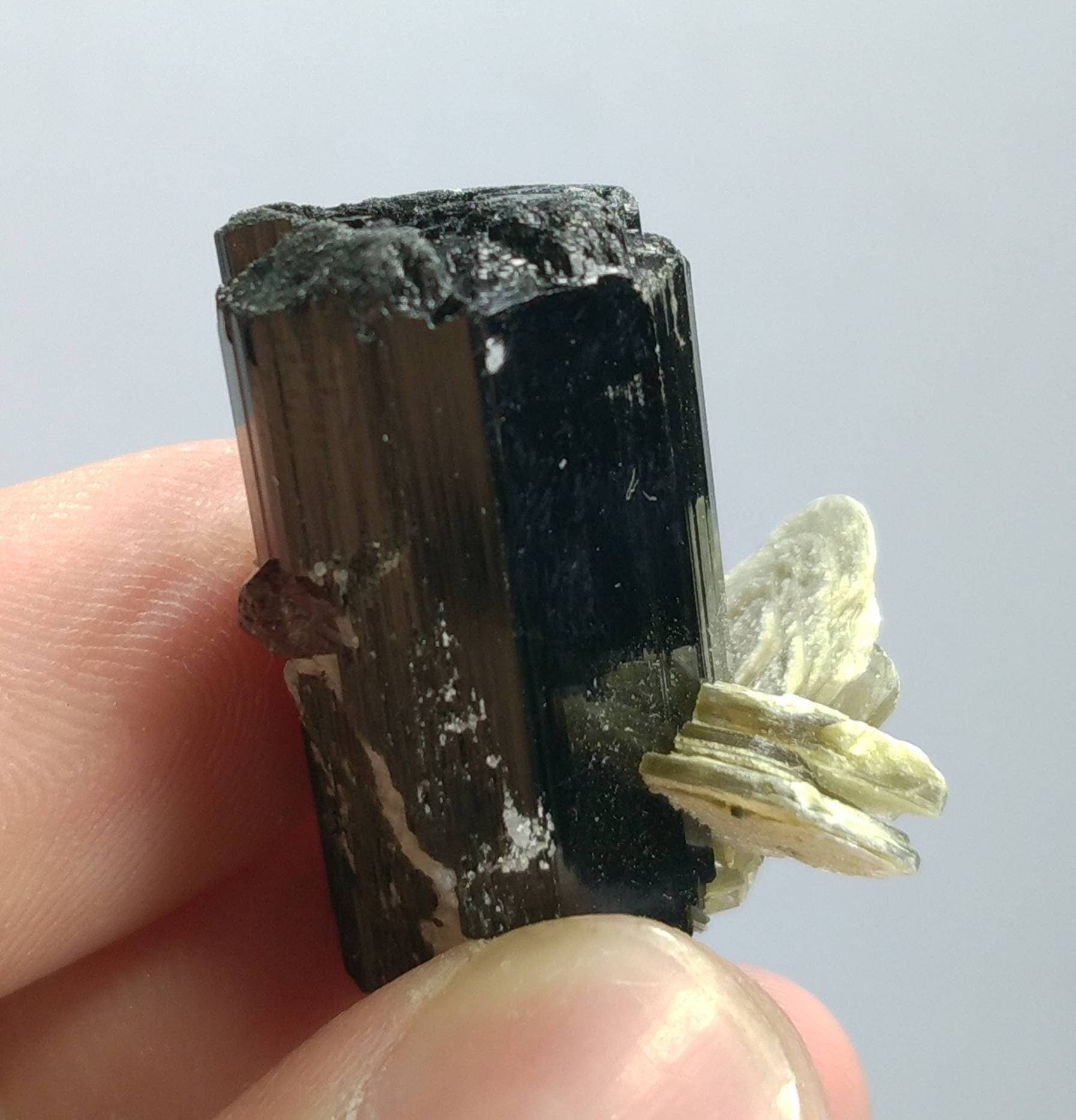 ARSAA GEMS AND MINERALSTop Quality beautiful natural 16.2 grams terminated crystal of black tourmaline with spessartine garnet and muscovite - Premium  from ARSAA GEMS AND MINERALS - Just $40.00! Shop now at ARSAA GEMS AND MINERALS