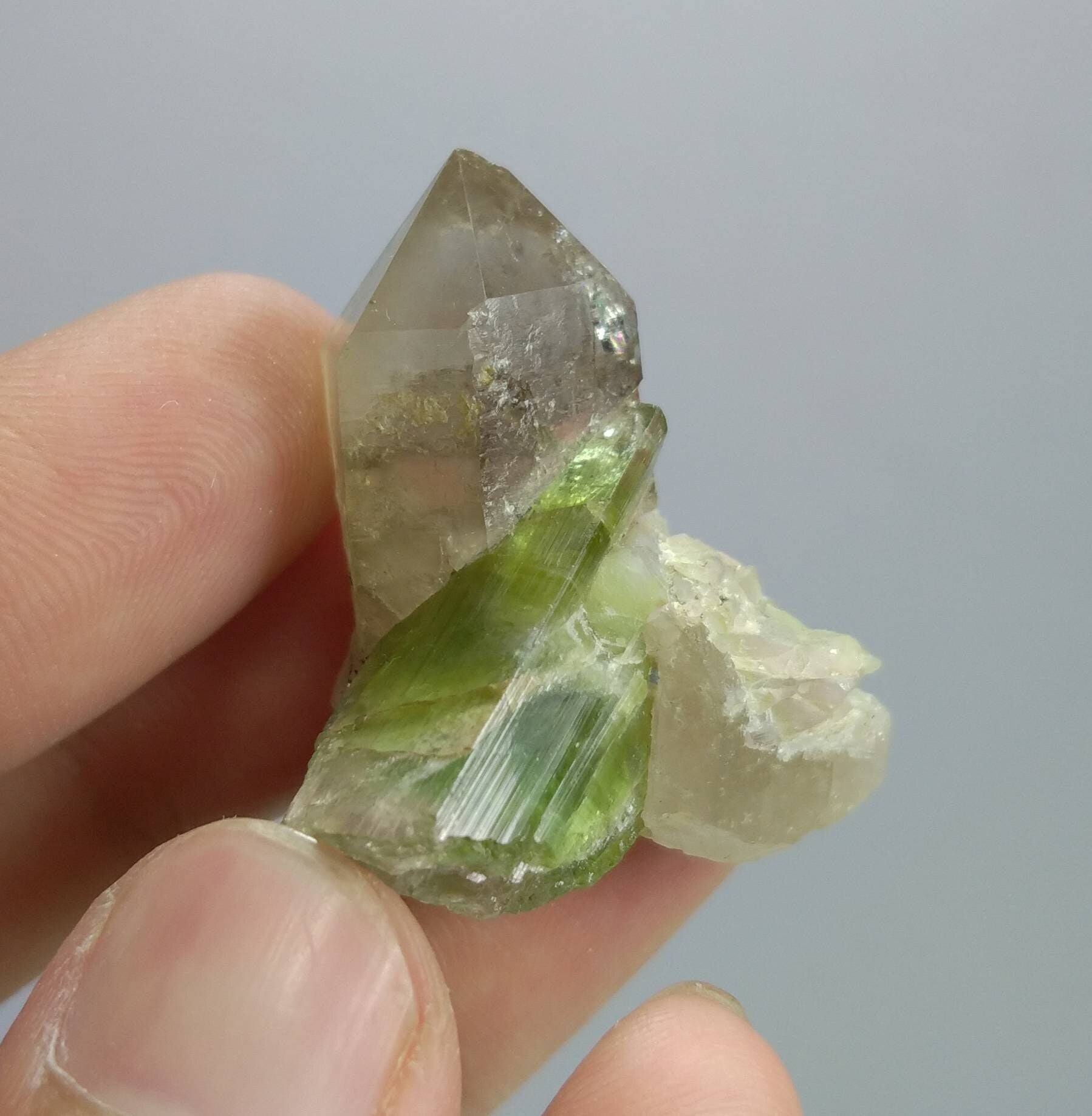 ARSAA GEMS AND MINERALSTop Quality beautiful natural 13.7 grams smokey quartz with bicolor tourmaline crystal - Premium  from ARSAA GEMS AND MINERALS - Just $60.00! Shop now at ARSAA GEMS AND MINERALS