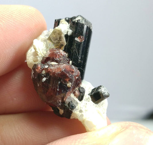ARSAA GEMS AND MINERALSTop Quality beautiful natural 8 grams amazing terminated cluster of black tourmaline with spessartine garnet Albite and muscovite mica - Premium  from ARSAA GEMS AND MINERALS - Just $50.00! Shop now at ARSAA GEMS AND MINERALS