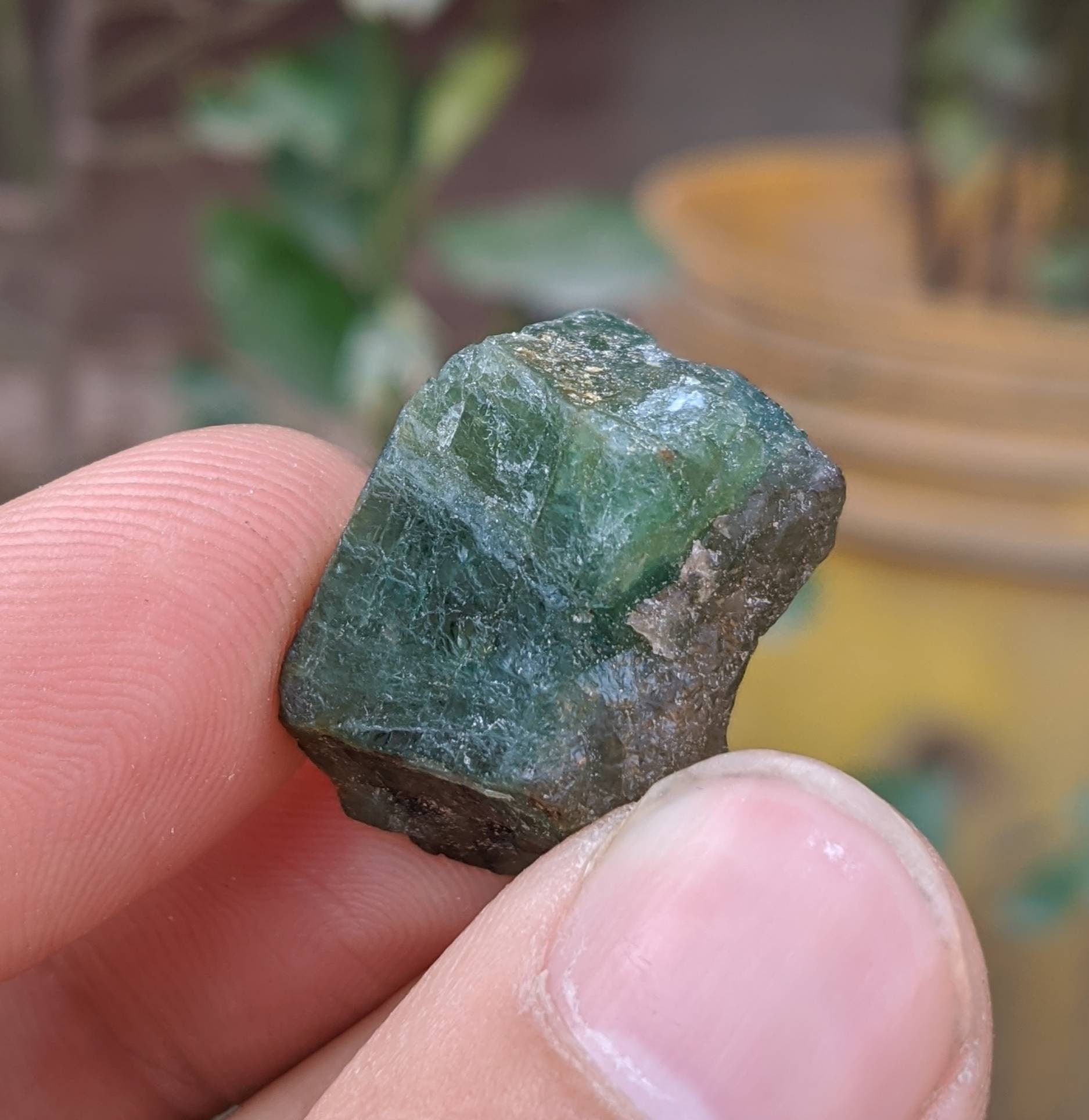 ARSAA GEMS AND MINERALSNatural rare rough 10 grams Grandidierite crystal - Premium  from ARSAA GEMS AND MINERALS - Just $60.00! Shop now at ARSAA GEMS AND MINERALS