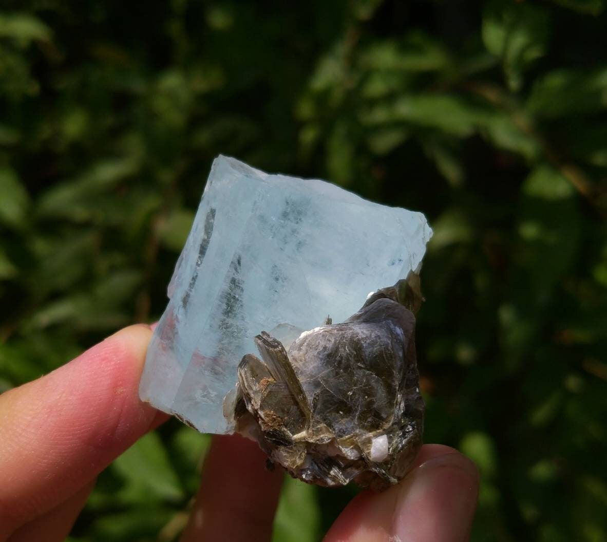 ARSAA GEMS AND MINERALSNatural top quality beautiful 55 grams blue aquamarine with moscovite crystal - Premium  from ARSAA GEMS AND MINERALS - Just $100.00! Shop now at ARSAA GEMS AND MINERALS