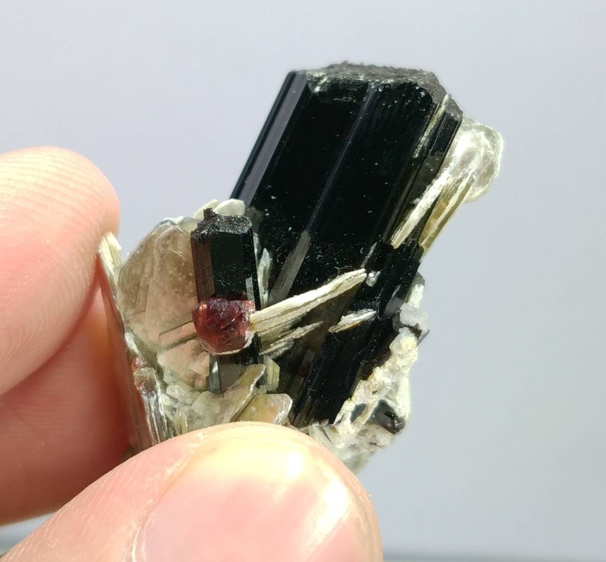ARSAA GEMS AND MINERALSTop Quality beautiful natural 16.2 grams amazing terminated crystal of black tourmaline with spessartine garnet and muscovite - Premium  from ARSAA GEMS AND MINERALS - Just $50.00! Shop now at ARSAA GEMS AND MINERALS