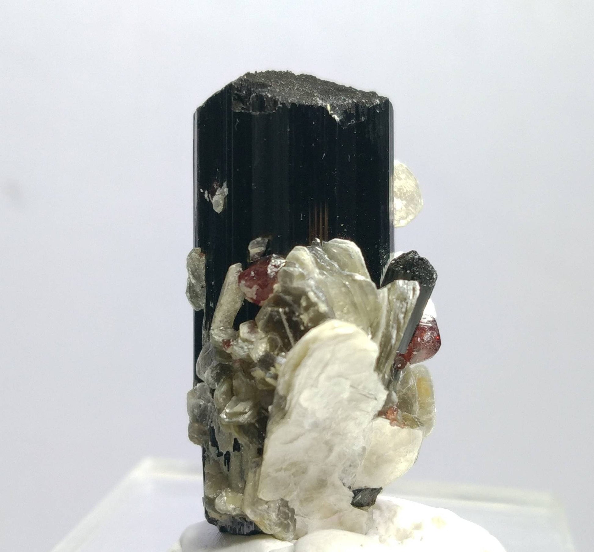 ARSAA GEMS AND MINERALSTop Quality beautiful natural 16.2 grams amazing terminated crystal of black tourmaline with spessartine garnet and muscovite - Premium  from ARSAA GEMS AND MINERALS - Just $50.00! Shop now at ARSAA GEMS AND MINERALS