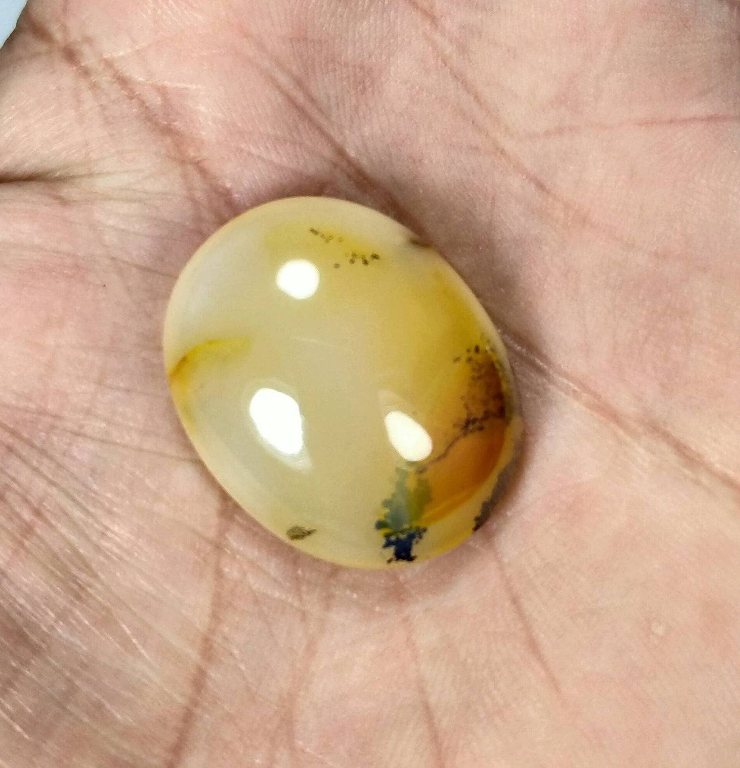 ARSAA GEMS AND MINERALSNatural best quality locket size cabochon of dendritic opal - Premium  from ARSAA GEMS AND MINERALS - Just $35.00! Shop now at ARSAA GEMS AND MINERALS