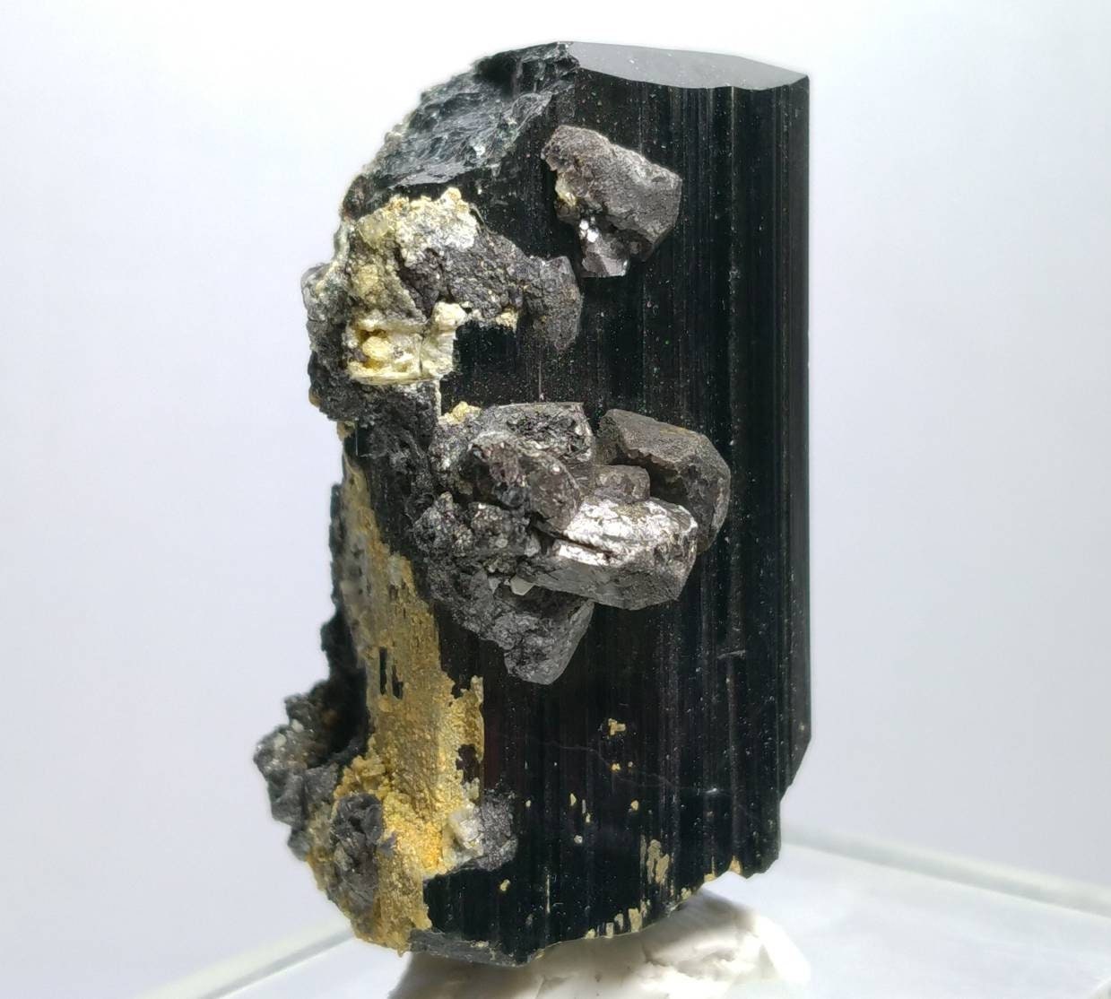 ARSAA GEMS AND MINERALSNatural top quality 74 grams Rare numerous magnetite crystals nesting on lusterous schorl / black tourmaline crystal - Premium  from ARSAA GEMS AND MINERALS - Just $95.00! Shop now at ARSAA GEMS AND MINERALS