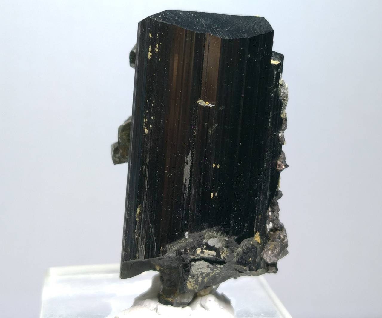 ARSAA GEMS AND MINERALSNatural top quality 74 grams Rare numerous magnetite crystals nesting on lusterous schorl / black tourmaline crystal - Premium  from ARSAA GEMS AND MINERALS - Just $95.00! Shop now at ARSAA GEMS AND MINERALS