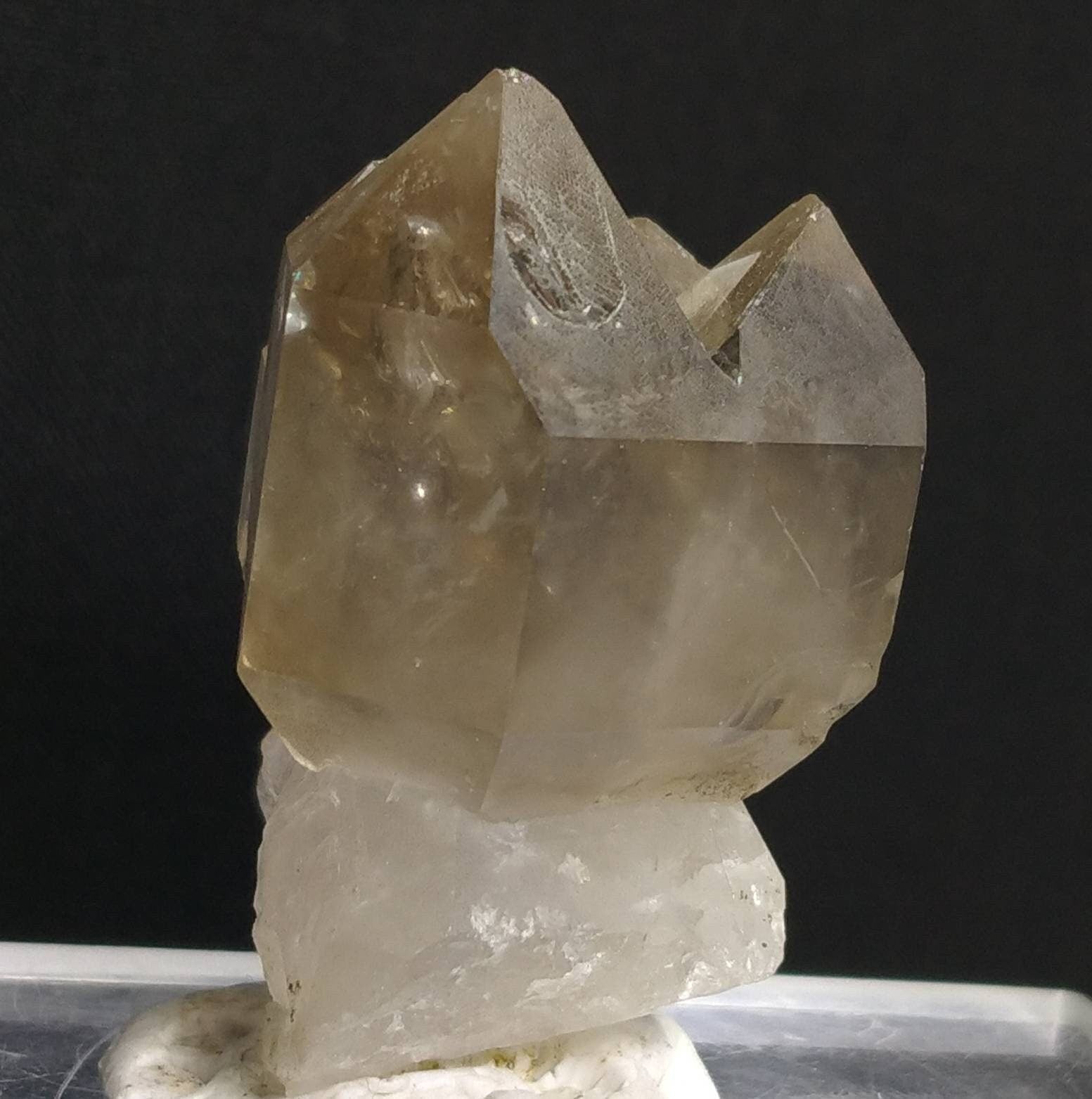 ARSAA GEMS AND MINERALSNatural top quality 44.5 garms very interesting rose of Scepter Quartz. The head is Smokey and is a cluster while the stem is clear quartz - Premium  from ARSAA GEMS AND MINERALS - Just $30.00! Shop now at ARSAA GEMS AND MINERALS
