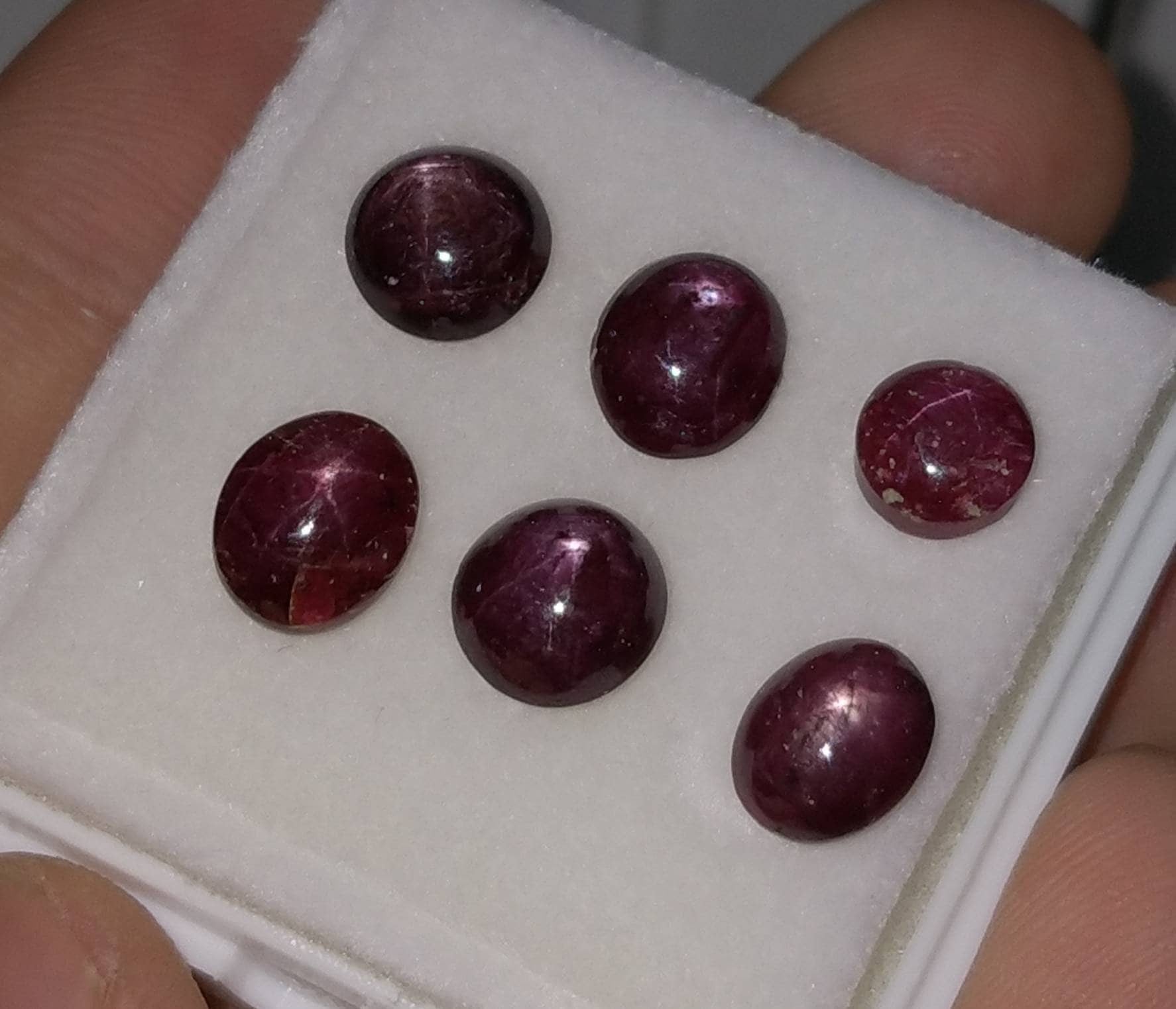 ARSAA GEMS AND MINERALSNatural top quality beautiful 19.6 carat small lot of star Ruby Cabochons - Premium  from ARSAA GEMS AND MINERALS - Just $40.00! Shop now at ARSAA GEMS AND MINERALS