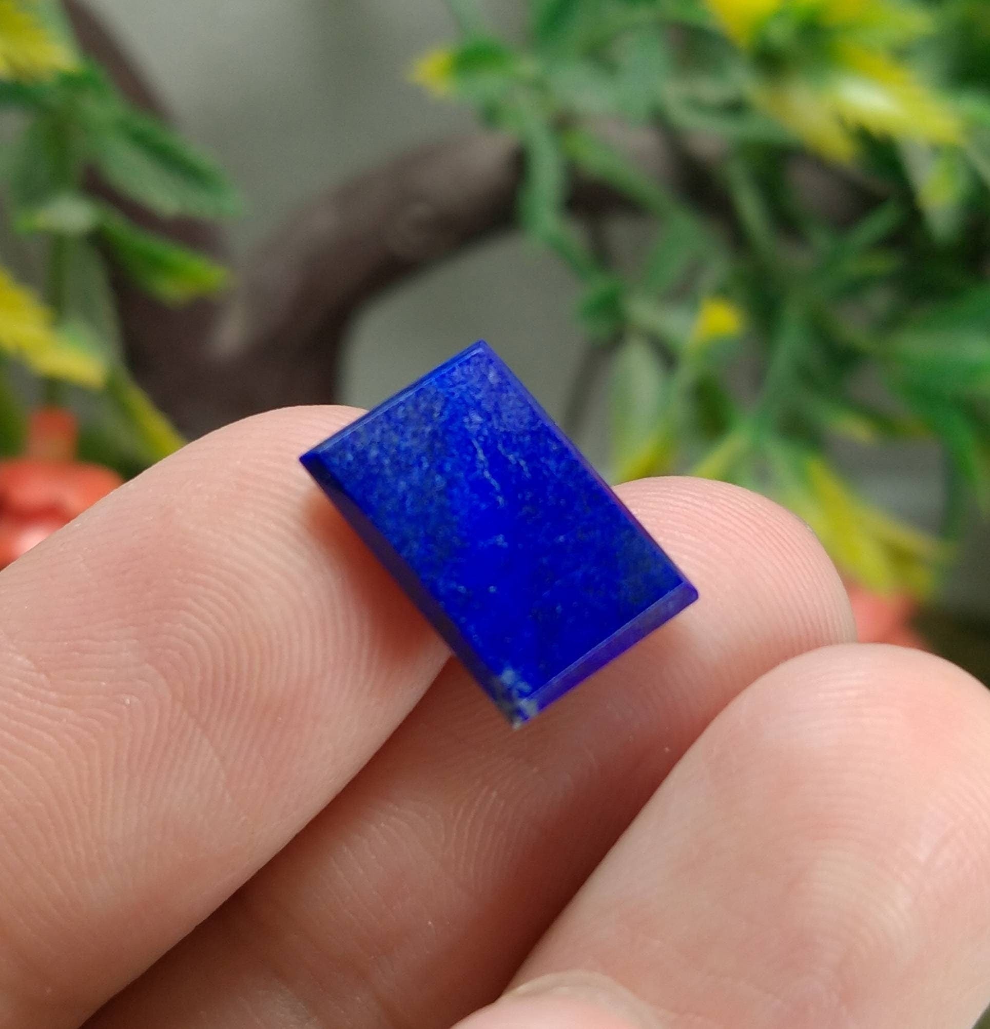 ARSAA GEMS AND MINERALSNatural fine quality beautiful 5 carat pair of lapis lazuli cabochons - Premium  from ARSAA GEMS AND MINERALS - Just $12.00! Shop now at ARSAA GEMS AND MINERALS
