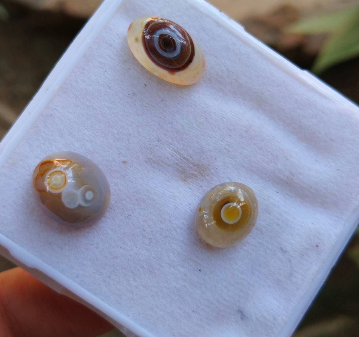 ARSAA GEMS AND MINERALSNatural good quality beautiful 21 carats oval shapes small lot of banded eye fine agate cabochons - Premium  from ARSAA GEMS AND MINERALS - Just $30.00! Shop now at ARSAA GEMS AND MINERALS