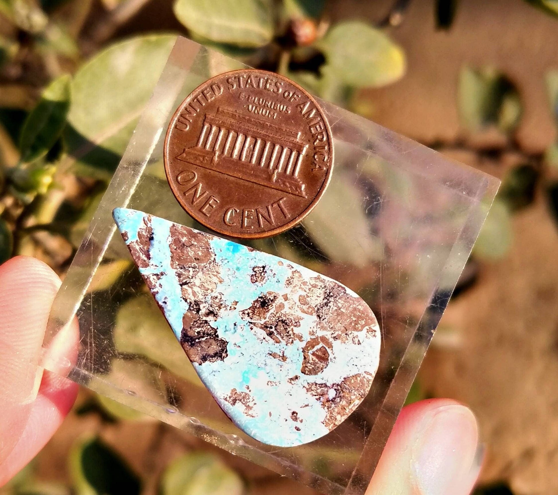 ARSAA GEMS AND MINERALSNatural good quality beautiful pear shape turquoise cabochon - Premium  from ARSAA GEMS AND MINERALS - Just $12.00! Shop now at ARSAA GEMS AND MINERALS