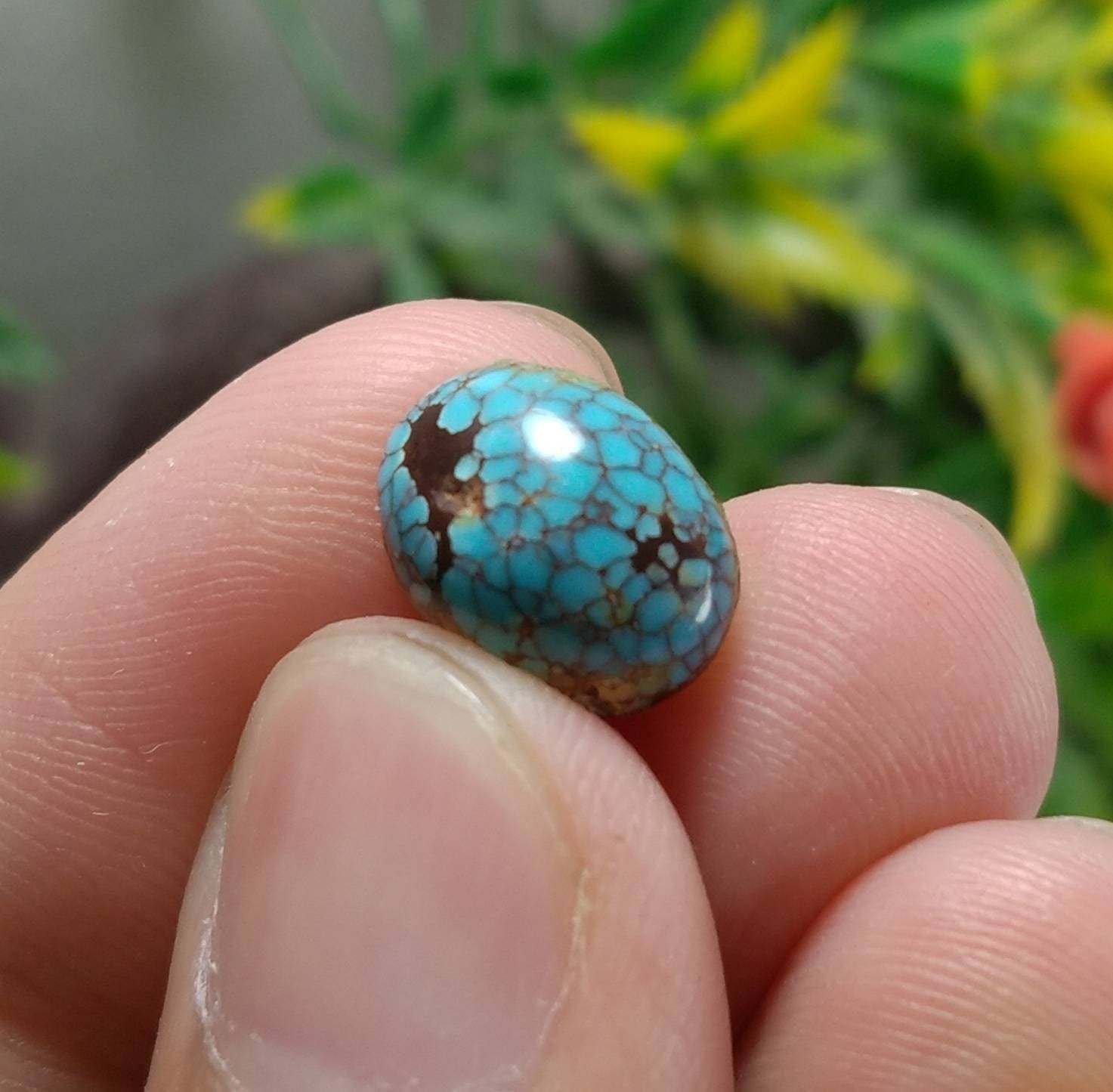 ARSAA GEMS AND MINERALSNatural top quality beautiful 6 carats spider web Egyptian turquoise cabochon - Premium  from ARSAA GEMS AND MINERALS - Just $25.00! Shop now at ARSAA GEMS AND MINERALS