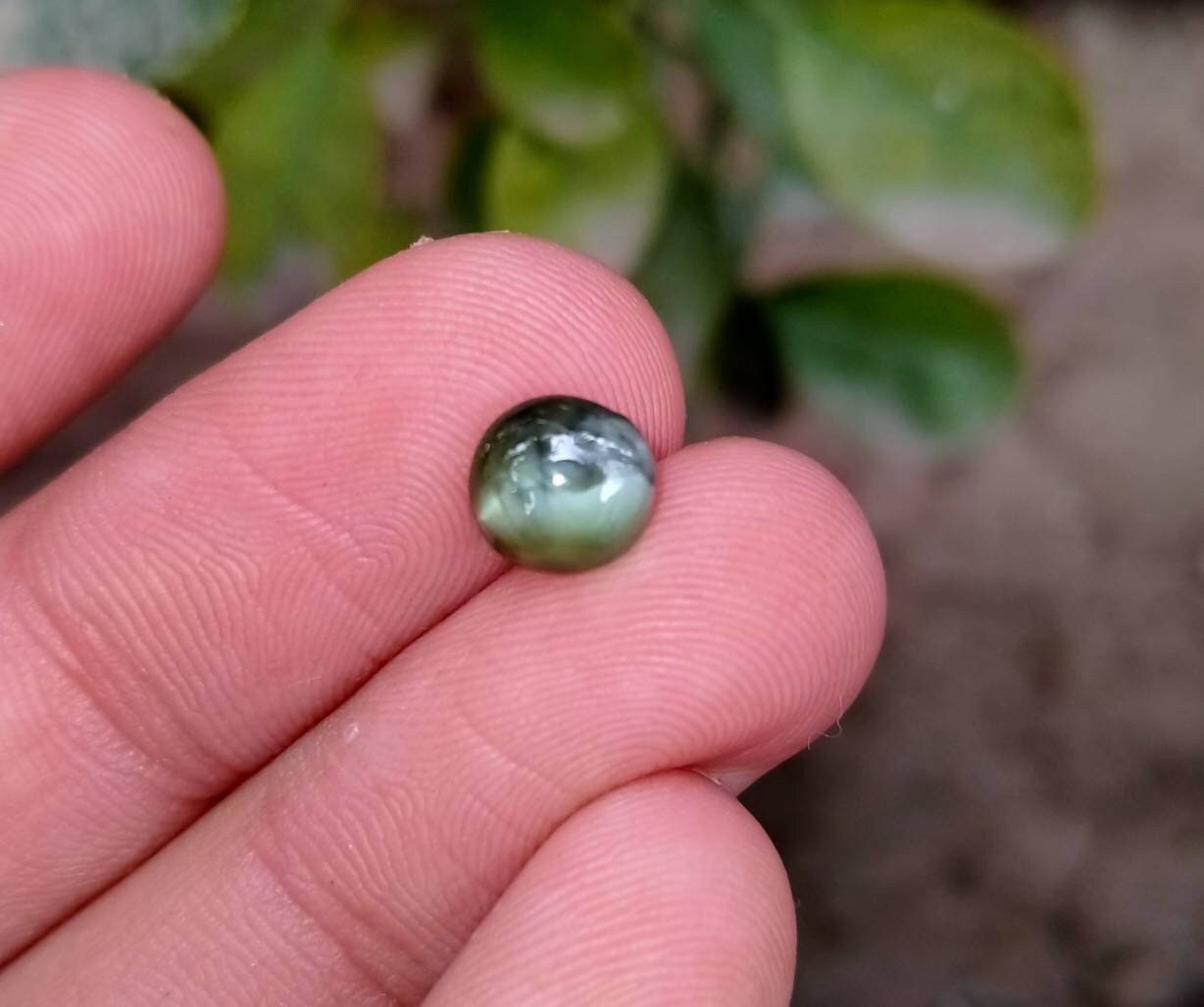 ARSAA GEMS AND MINERALSNatural top quality beautiful Chrysoberyl catseye cabochons - Premium  from ARSAA GEMS AND MINERALS - Just $45.00! Shop now at ARSAA GEMS AND MINERALS