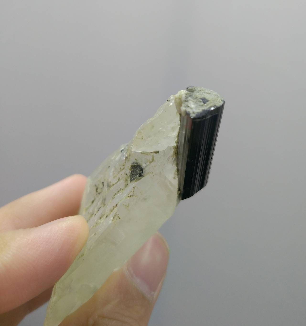 ARSAA GEMS AND MINERALSNatural fine quality terminated on matrix black tourmaline with quartz crystal from Pakistan, weight 45.2 grams - Premium  from ARSAA GEMS AND MINERALS - Just $45.00! Shop now at ARSAA GEMS AND MINERALS