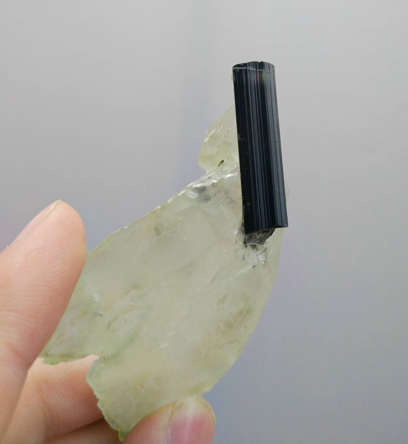 ARSAA GEMS AND MINERALSNatural fine quality terminated on matrix black tourmaline with quartz crystal from Pakistan, weight 45.2 grams - Premium  from ARSAA GEMS AND MINERALS - Just $45.00! Shop now at ARSAA GEMS AND MINERALS