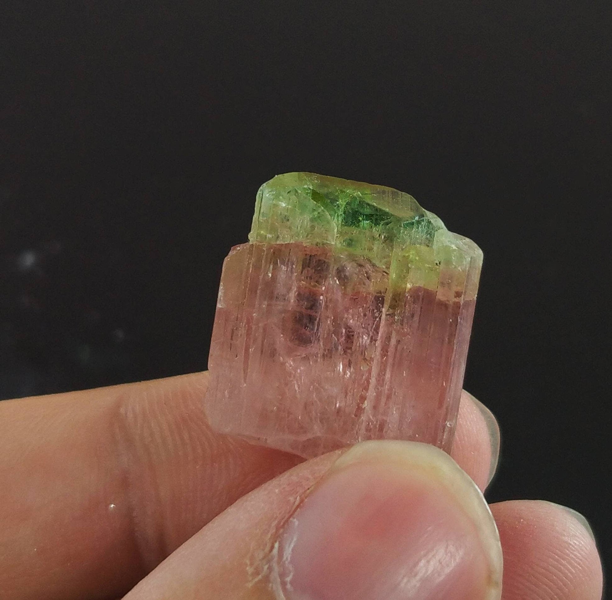 ARSAA GEMS AND MINERALSBicolor watermelon terminated tourmaline crystal 5.5 grams weight from Africa - Premium  from ARSAA GEMS AND MINERALS - Just $100.00! Shop now at ARSAA GEMS AND MINERALS
