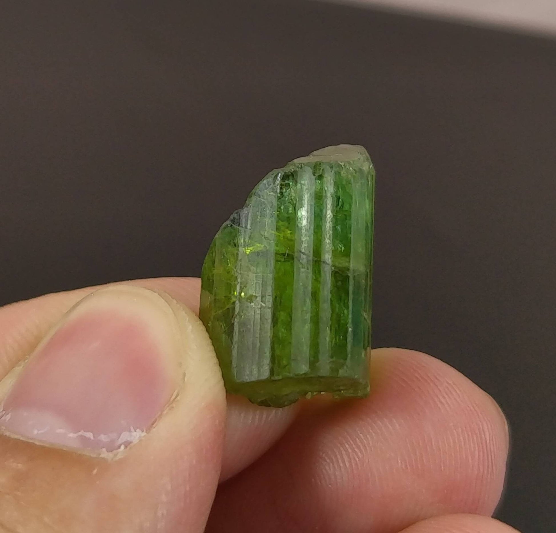 ARSAA GEMS AND MINERALSTop Quality beautiful natural 4.9 gram terminated green Tourmaline crystal from Africa - Premium  from ARSAA GEMS AND MINERALS - Just $70.00! Shop now at ARSAA GEMS AND MINERALS