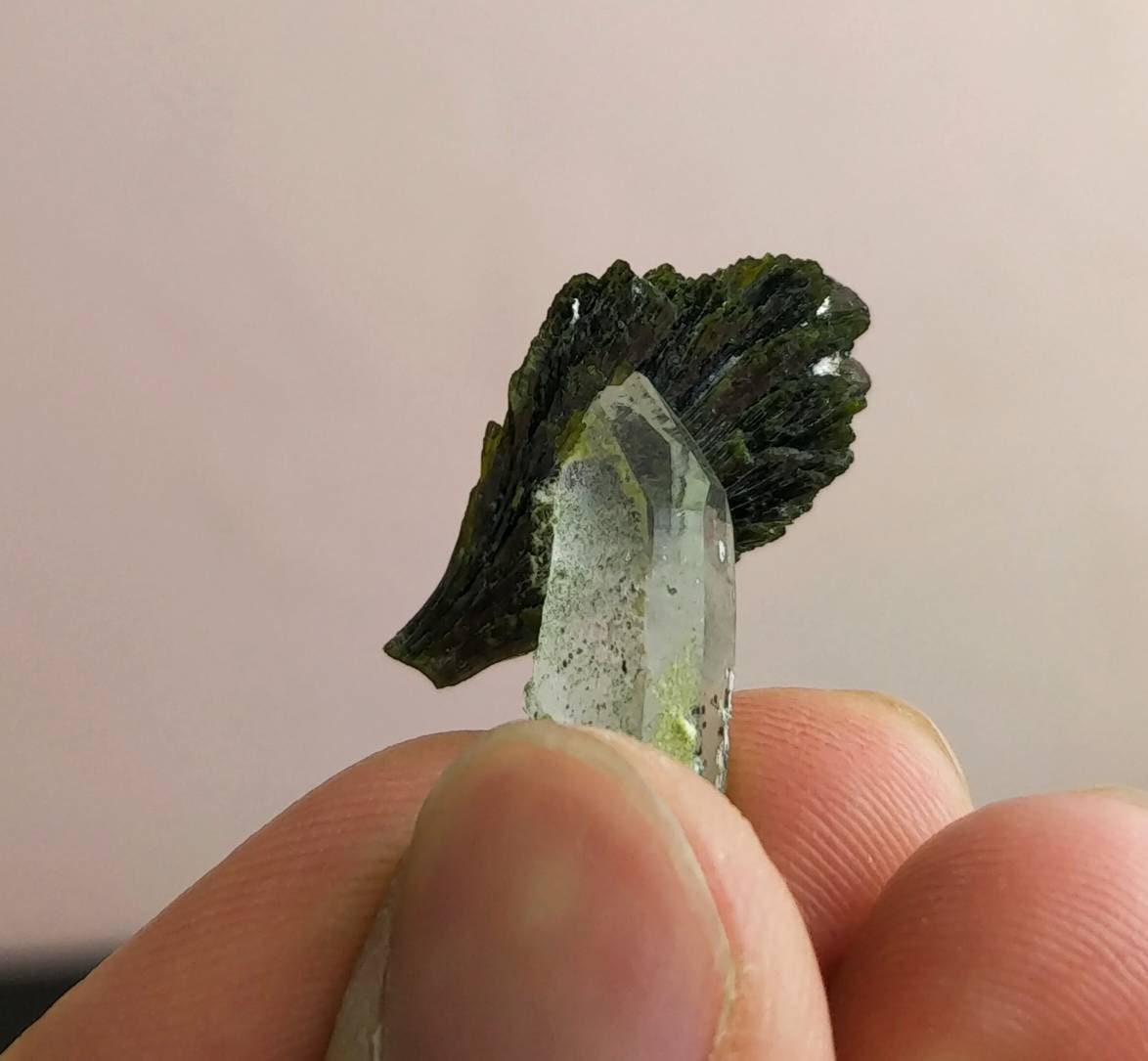ARSAA GEMS AND MINERALSNatural aesthetic unique combination of bowtie epidote on quartz terminated crystal from Pakistan, weight: 4.1 grams - Premium  from ARSAA GEMS AND MINERALS - Just $40.00! Shop now at ARSAA GEMS AND MINERALS
