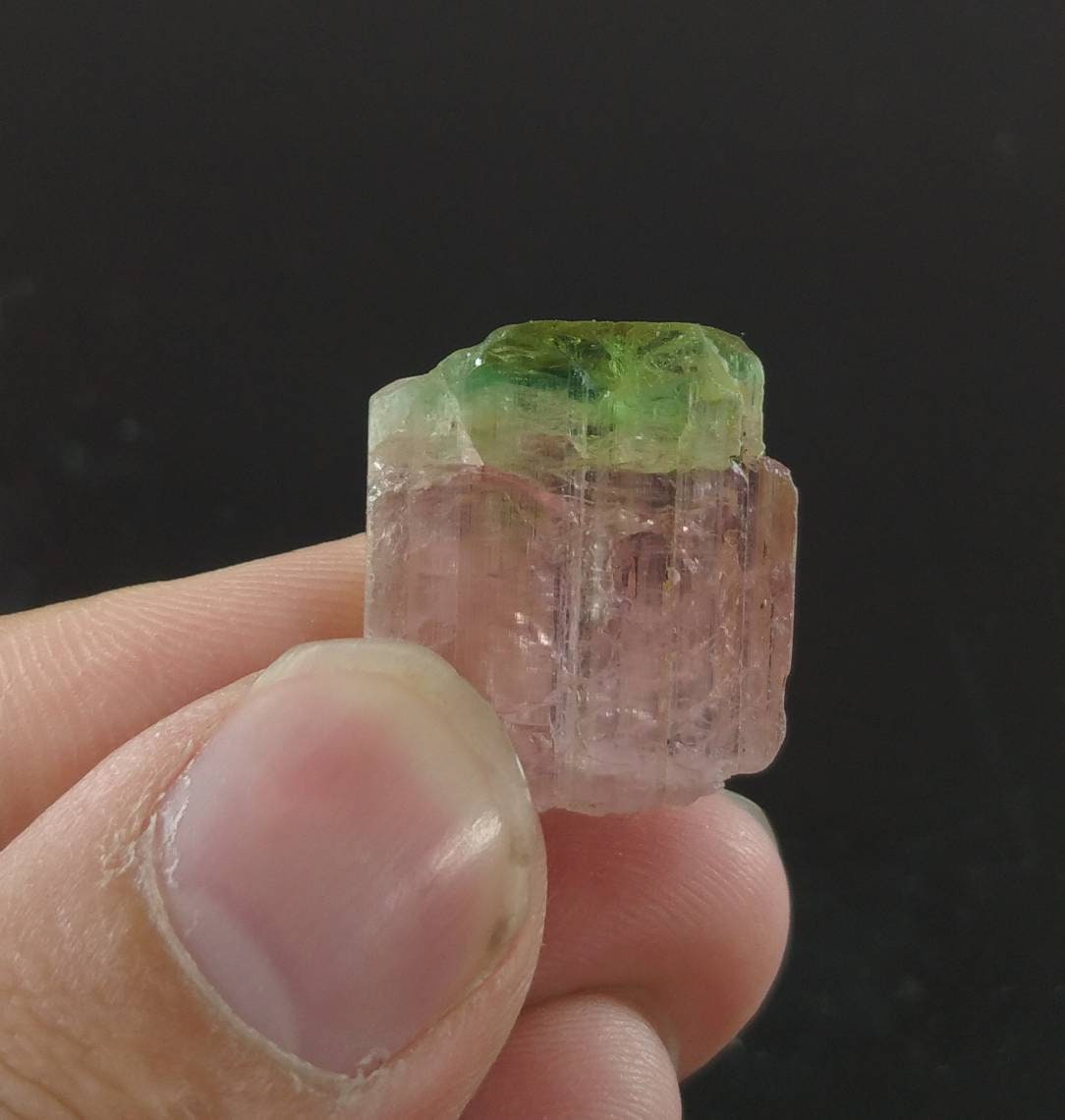 ARSAA GEMS AND MINERALSBicolor watermelon terminated tourmaline crystal 5.5 grams weight from Africa - Premium  from ARSAA GEMS AND MINERALS - Just $100.00! Shop now at ARSAA GEMS AND MINERALS