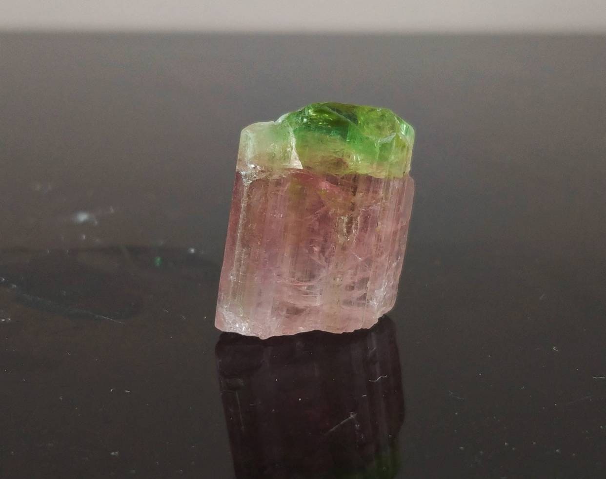 ARSAA GEMS AND MINERALSBicolor watermelon terminated tourmaline crystal 5.5 grams weight from Africa - Premium  from ARSAA GEMS AND MINERALS - Just $100.00! Shop now at ARSAA GEMS AND MINERALS