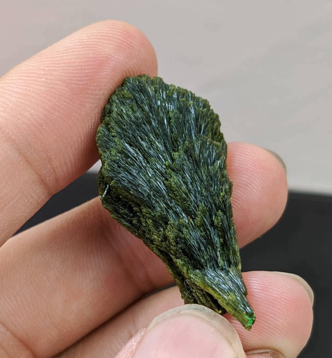 ARSAA GEMS AND MINERALSNatural green spray epidote crystal from Balochistan Pakistan, weight 7.7 grams - Premium  from ARSAA GEMS AND MINERALS - Just $25.00! Shop now at ARSAA GEMS AND MINERALS