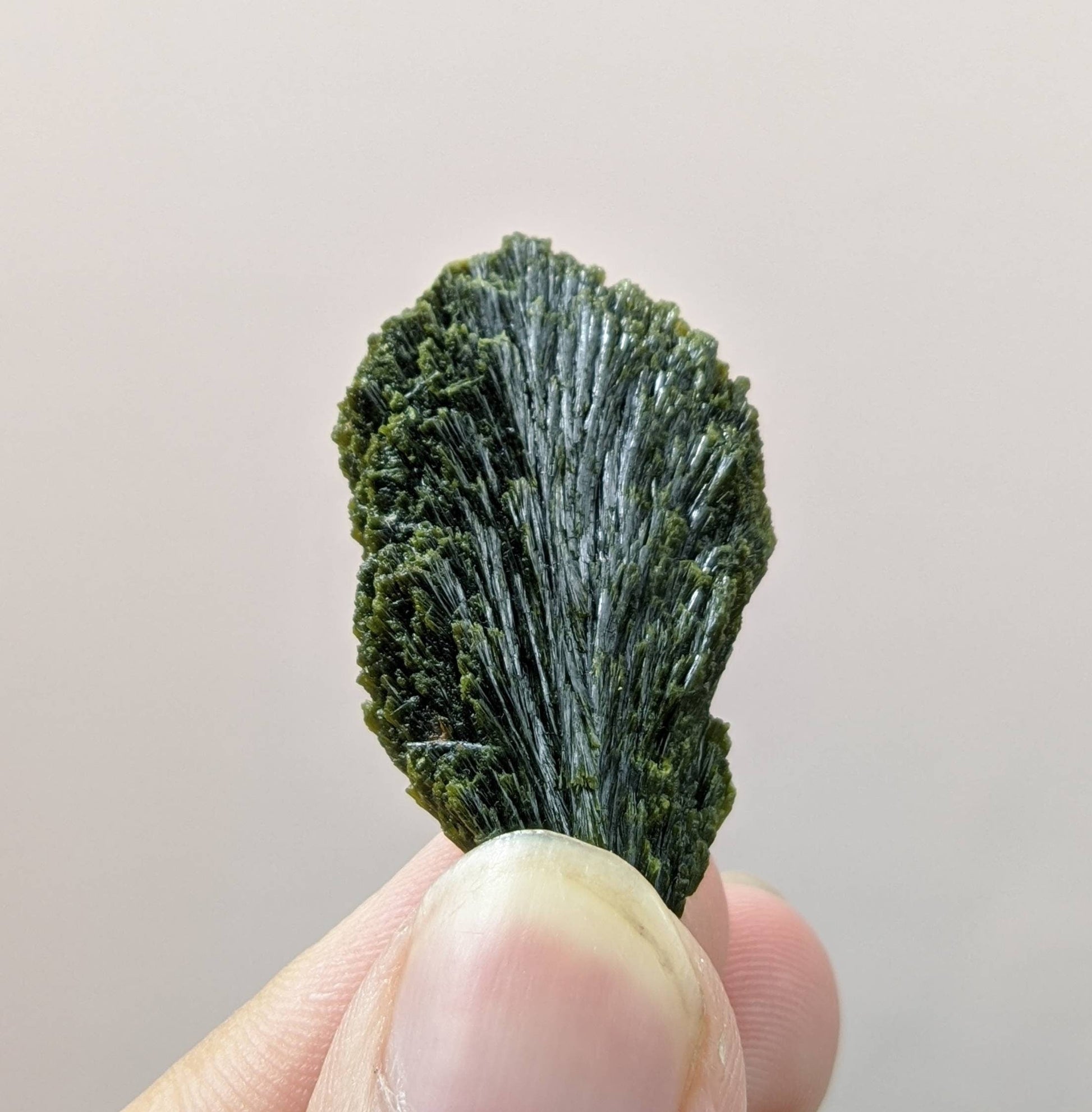 ARSAA GEMS AND MINERALSNatural green spray epidote crystal from Balochistan Pakistan, weight 10.5 grams - Premium  from ARSAA GEMS AND MINERALS - Just $25.00! Shop now at ARSAA GEMS AND MINERALS
