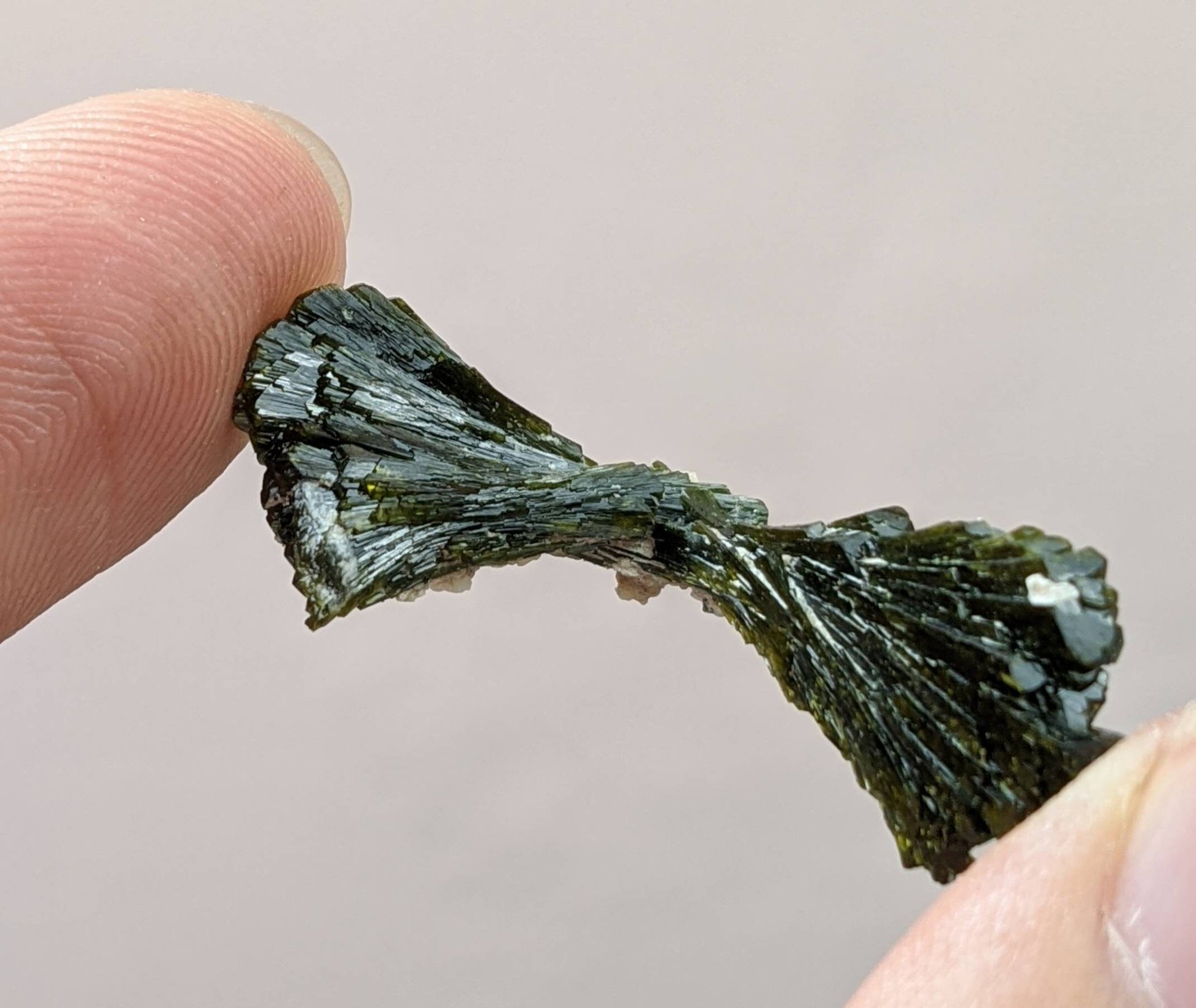 ARSAA GEMS AND MINERALSNatural aesthetic bowtie Epidote terminated crystal from Pakistan, weight: 3 grams - Premium  from ARSAA GEMS AND MINERALS - Just $15.00! Shop now at ARSAA GEMS AND MINERALS