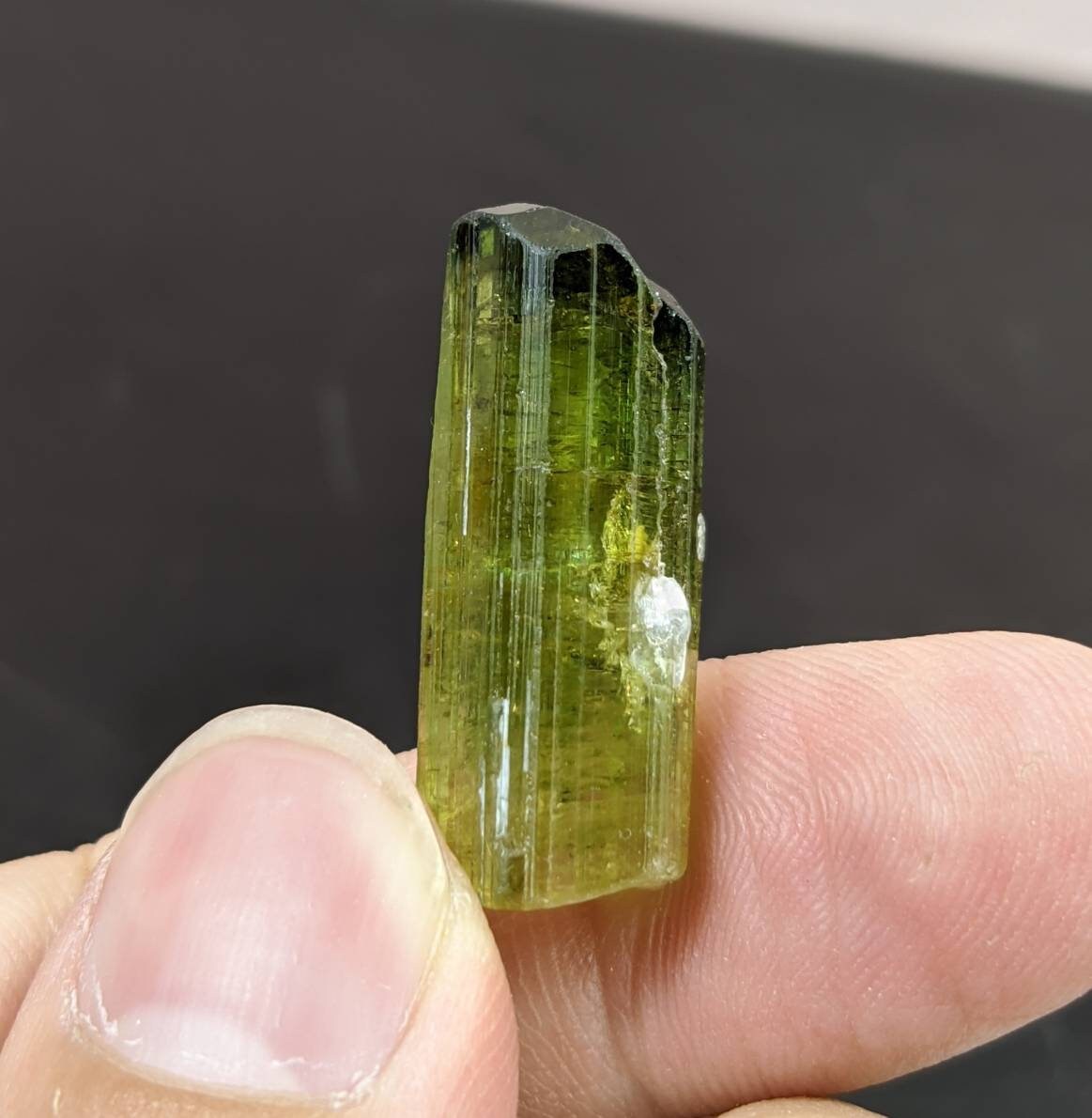 ARSAA GEMS AND MINERALSFine Quality beautiful natural 4.9 gram terminated green Tourmaline crystal from Africa - Premium  from ARSAA GEMS AND MINERALS - Just $49.00! Shop now at ARSAA GEMS AND MINERALS