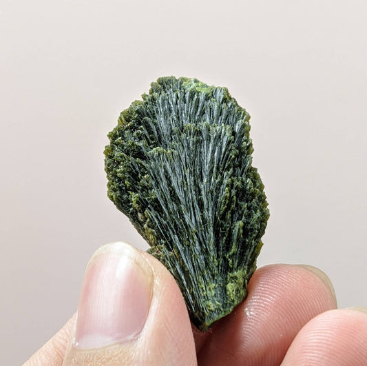ARSAA GEMS AND MINERALSNatural green spray epidote crystal from Balochistan Pakistan, weight 10.5 grams - Premium  from ARSAA GEMS AND MINERALS - Just $25.00! Shop now at ARSAA GEMS AND MINERALS