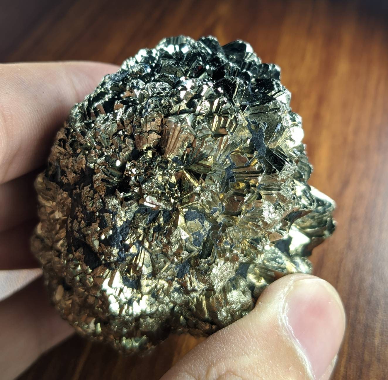 ARSAA GEMS AND MINERALSNatural new find big size Marcasite cluster with geothite also called prophecy stone from a new find in Darra Adam Khel KPK Pakistan - Premium  from ARSAA GEMS AND MINERALS - Just $65.00! Shop now at ARSAA GEMS AND MINERALS
