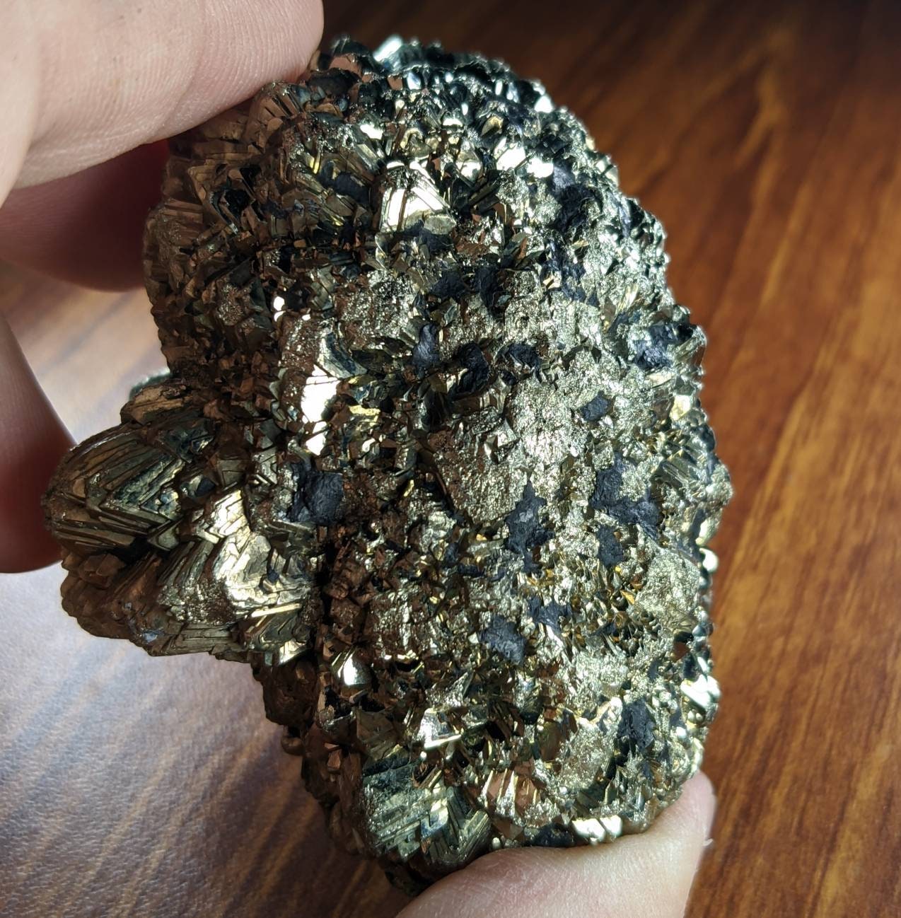 ARSAA GEMS AND MINERALSNatural new find big size Marcasite cluster with geothite also called prophecy stone from a new find in Darra Adam Khel KPK Pakistan - Premium  from ARSAA GEMS AND MINERALS - Just $65.00! Shop now at ARSAA GEMS AND MINERALS