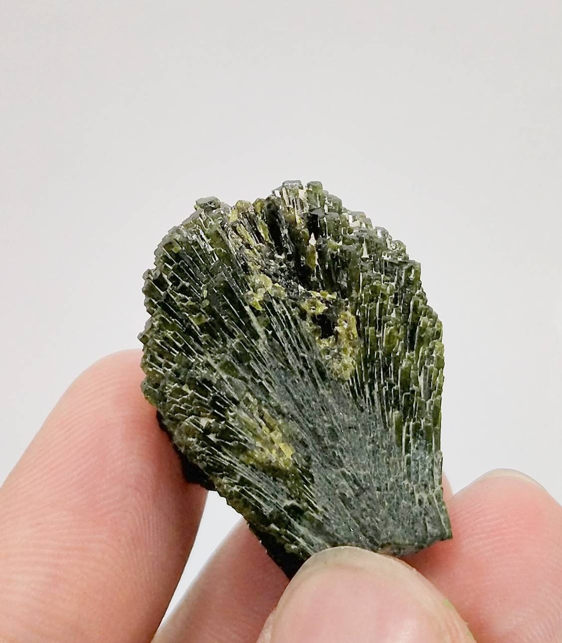 ARSAA GEMS AND MINERALSGrreen spray epidote crystal from Balochistan Pakistan, weight 16 grams - Premium  from ARSAA GEMS AND MINERALS - Just $25.00! Shop now at ARSAA GEMS AND MINERALS