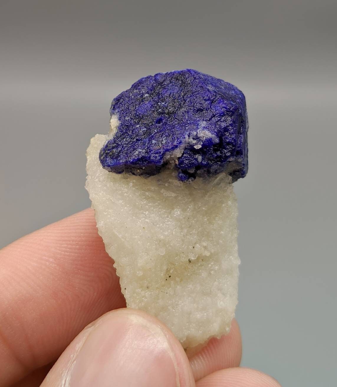 ARSAA GEMS AND MINERALSBeautiful well formed Lazurite crystal perched on white calcite matrix from Afghanistan, weight 11.5 grams - Premium  from ARSAA GEMS AND MINERALS - Just $45.00! Shop now at ARSAA GEMS AND MINERALS