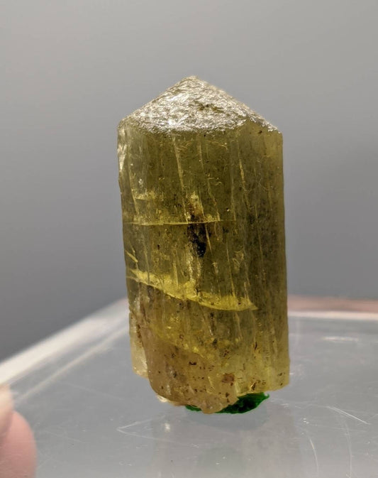 ARSAA GEMS AND MINERALSNatural fine quality beautiful 17 grams green scapolite crystal - Premium  from ARSAA GEMS AND MINERALS - Just $40.00! Shop now at ARSAA GEMS AND MINERALS