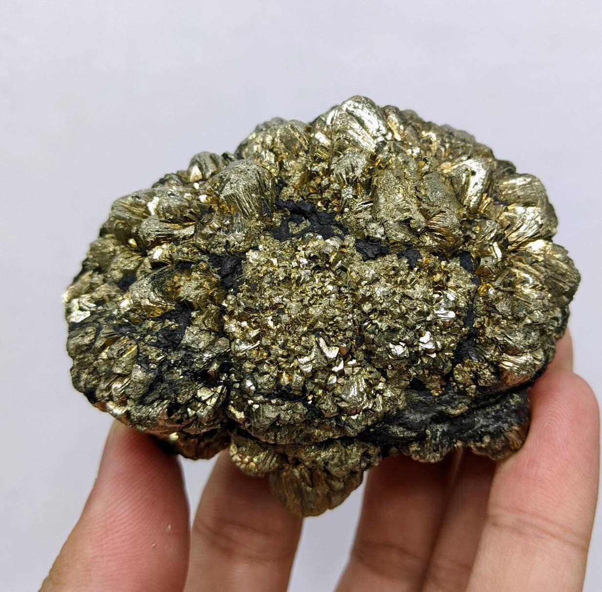 ARSAA GEMS AND MINERALSNew find big size golden Marcasite sphere shape cluster also called prophecy stone from a new find in Darra Adam Khel KPK Pakistan - Premium  from ARSAA GEMS AND MINERALS - Just $65.00! Shop now at ARSAA GEMS AND MINERALS
