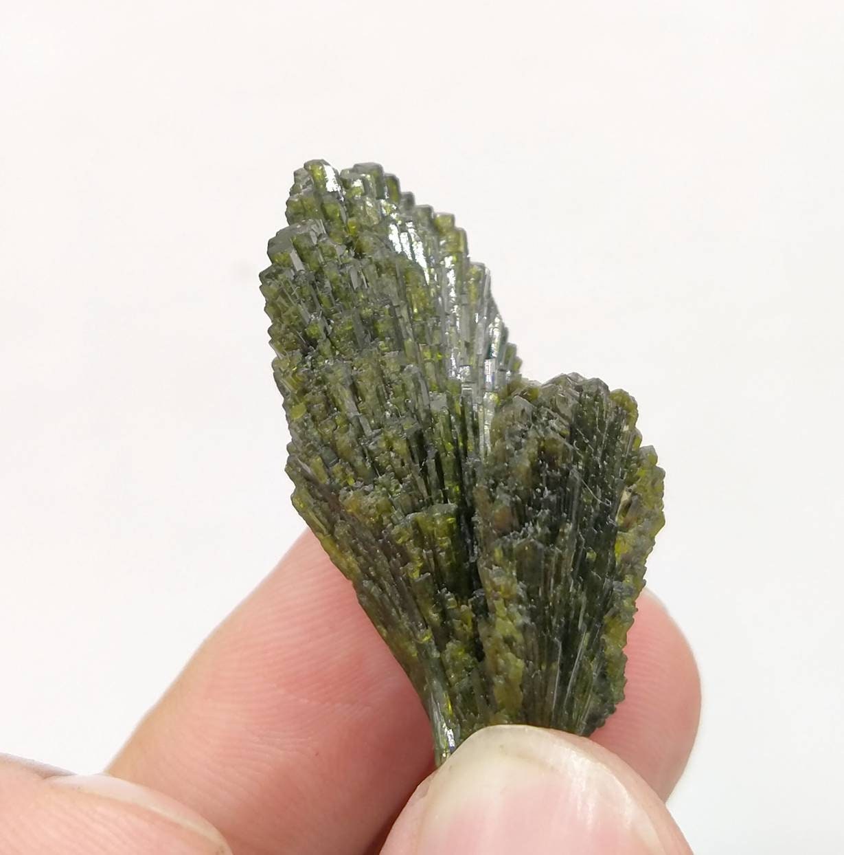 ARSAA GEMS AND MINERALSGrreen spray epidote crystal from Balochistan Pakistan, weight 14.1 grams - Premium  from ARSAA GEMS AND MINERALS - Just $25.00! Shop now at ARSAA GEMS AND MINERALS