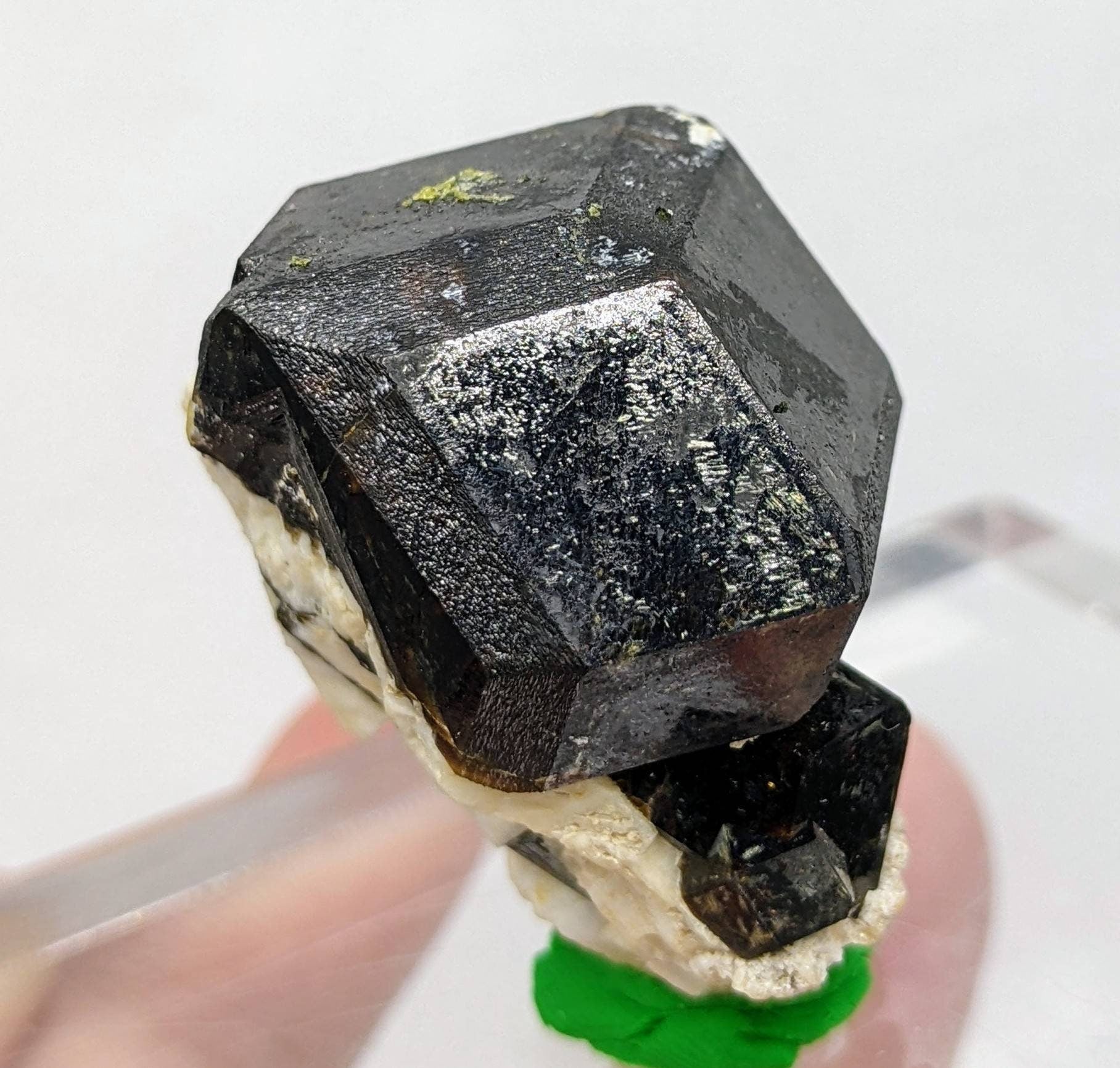 ARSAA GEMS AND MINERALSOn matrix andradite garnet crystal from Pakistan, 37.3 grams - Premium  from ARSAA GEMS AND MINERALS - Just $60.00! Shop now at ARSAA GEMS AND MINERALS