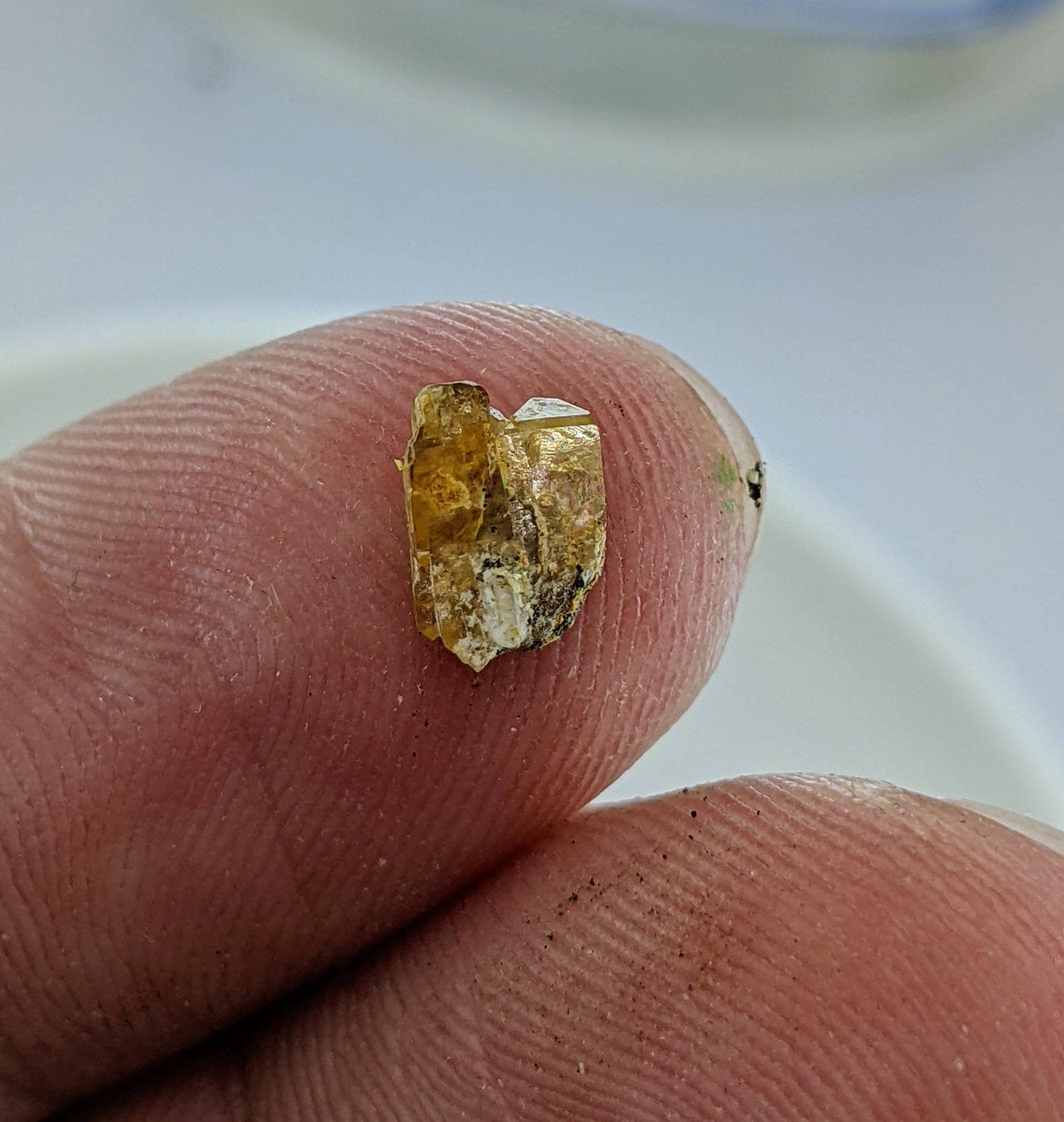 ARSAA GEMS AND MINERALSVery rare rough small thumbnail sized lot of xenotime crystals from Zagi Mountain KP Pakistan, 3 grams - Premium  from ARSAA GEMS AND MINERALS - Just $70.00! Shop now at ARSAA GEMS AND MINERALS