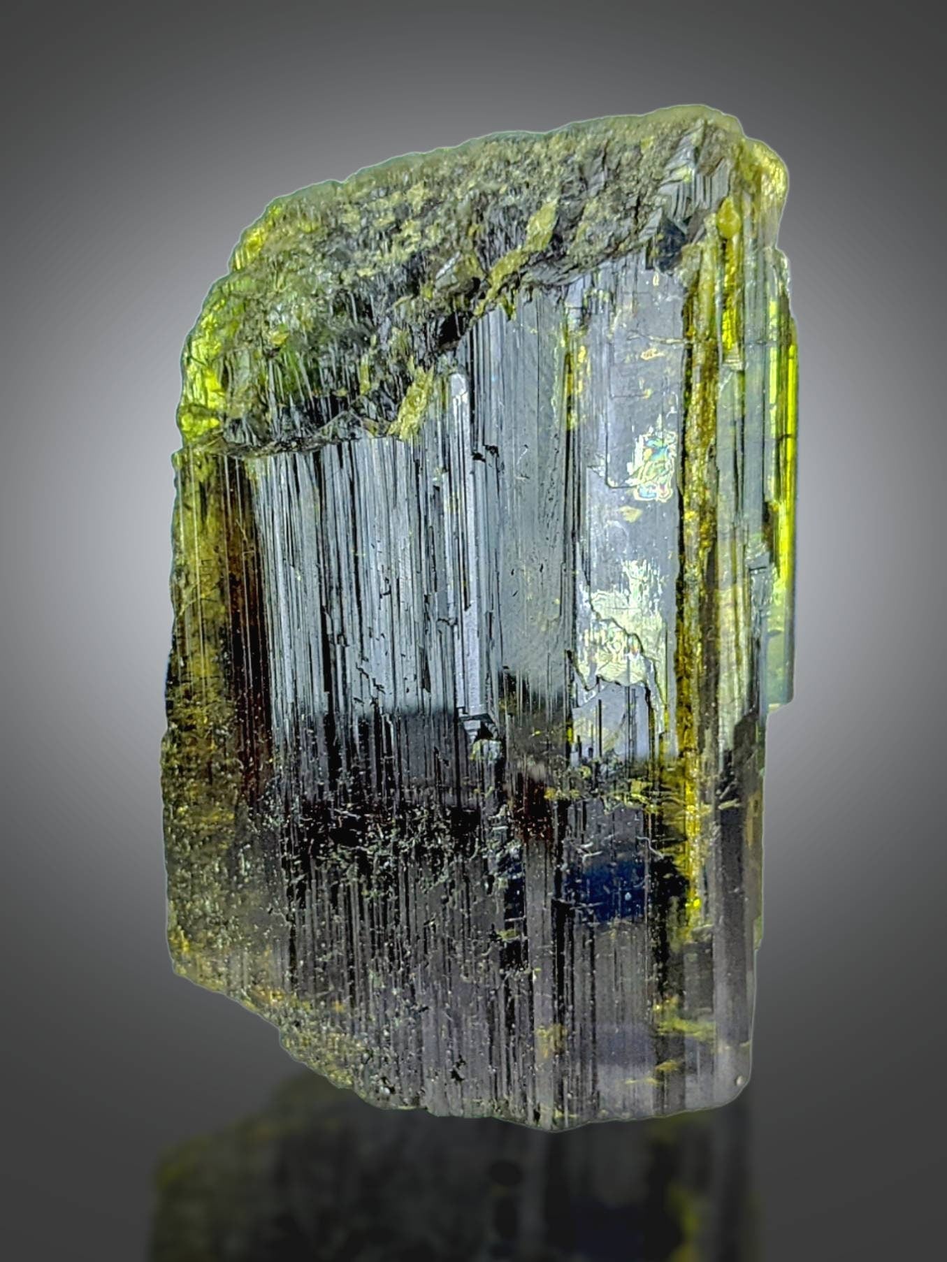 ARSAA GEMS AND MINERALSNatural transparent aesthetic 54 grams Beautiful pleochroic green epidote crystal from Pakistan - Premium  from ARSAA GEMS AND MINERALS - Just $50.00! Shop now at ARSAA GEMS AND MINERALS
