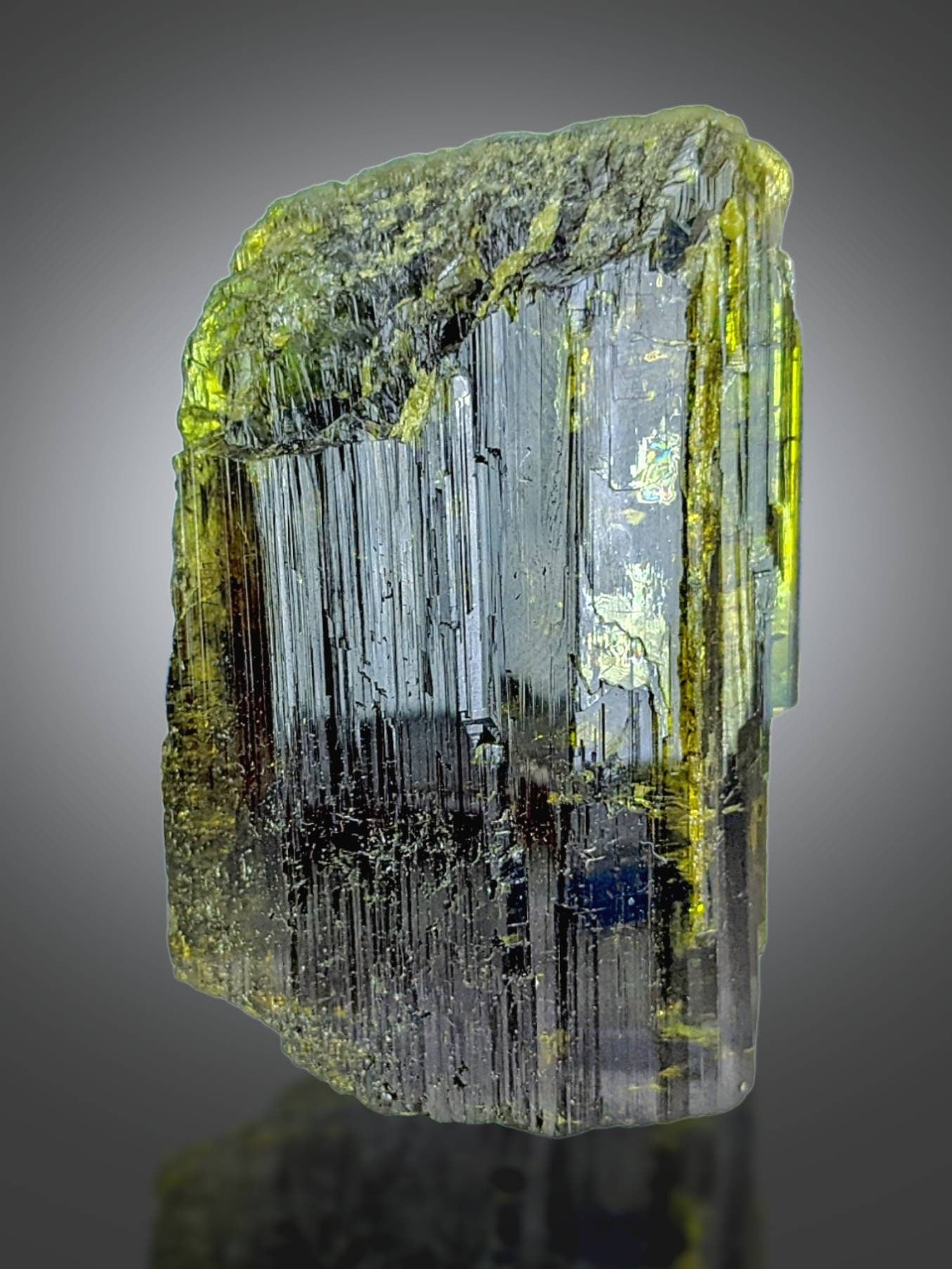 ARSAA GEMS AND MINERALSNatural transparent aesthetic 54 grams Beautiful pleochroic green epidote crystal from Pakistan - Premium  from ARSAA GEMS AND MINERALS - Just $50.00! Shop now at ARSAA GEMS AND MINERALS