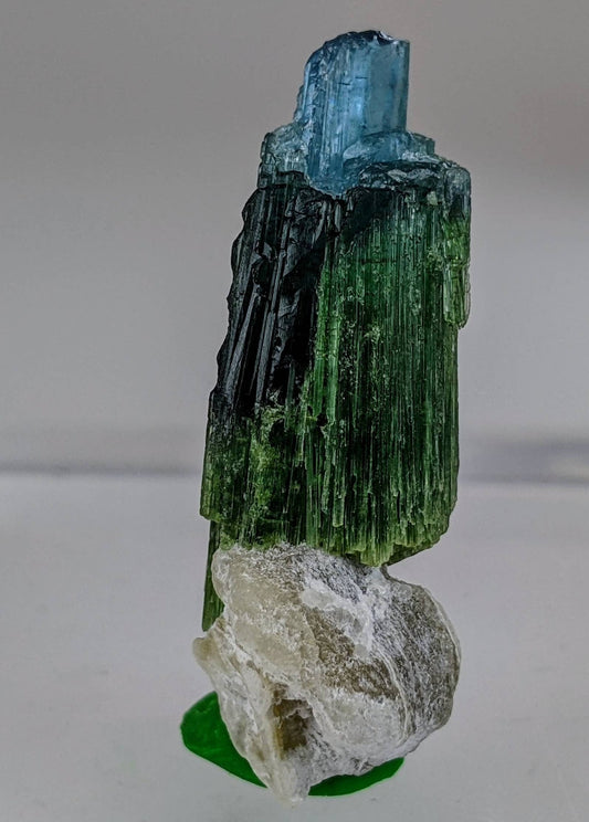 ARSAA GEMS AND MINERALSOn matrix beautiful 5 gram bicolor Tourmaline crystal on muscovite mica from Afghanistan - Premium  from ARSAA GEMS AND MINERALS - Just $40.00! Shop now at ARSAA GEMS AND MINERALS