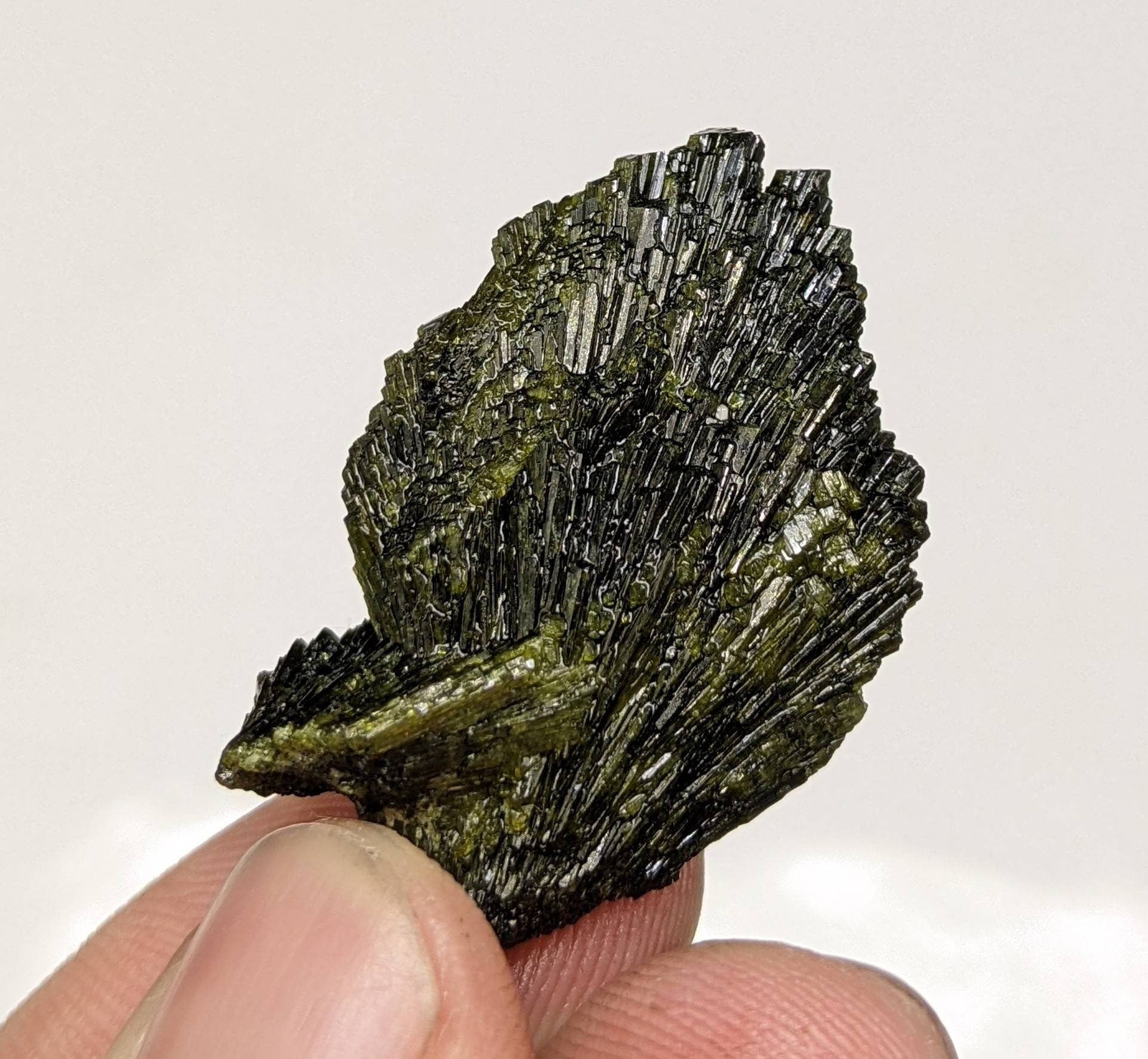 ARSAA GEMS AND MINERALSNatural green spray epidote crystal from Balochistan Pakistan, weight 11.2 grams - Premium  from ARSAA GEMS AND MINERALS - Just $20.00! Shop now at ARSAA GEMS AND MINERALS