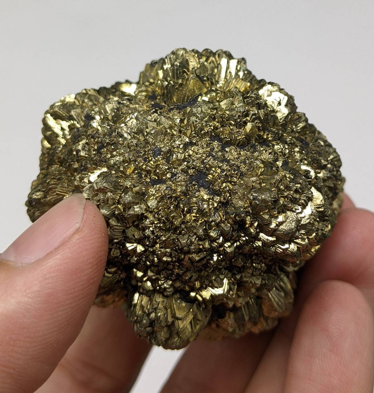 ARSAA GEMS AND MINERALSNew find big size golden Marcasite sphere shape cluster also called prophecy stone from a new find in Darra Adam Khel KPK Pakistan, 315 gram - Premium  from ARSAA GEMS AND MINERALS - Just $150.00! Shop now at ARSAA GEMS AND MINERALS