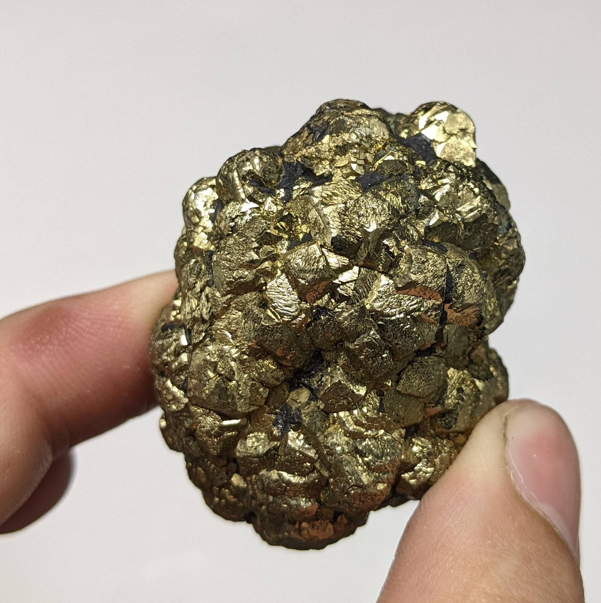 ARSAA GEMS AND MINERALSNew find big size golden Marcasite sphere shape cluster also called prophecy stone from a new find in Darra Adam Khel KPK Pakistan, 147.6g - Premium  from ARSAA GEMS AND MINERALS - Just $40.00! Shop now at ARSAA GEMS AND MINERALS