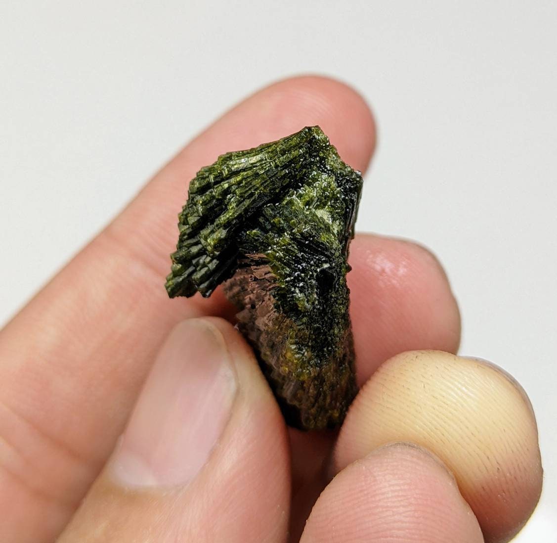 ARSAA GEMS AND MINERALSNatural green spray epidote crystal from Balochistan Pakistan, weight 11.2 grams - Premium  from ARSAA GEMS AND MINERALS - Just $20.00! Shop now at ARSAA GEMS AND MINERALS