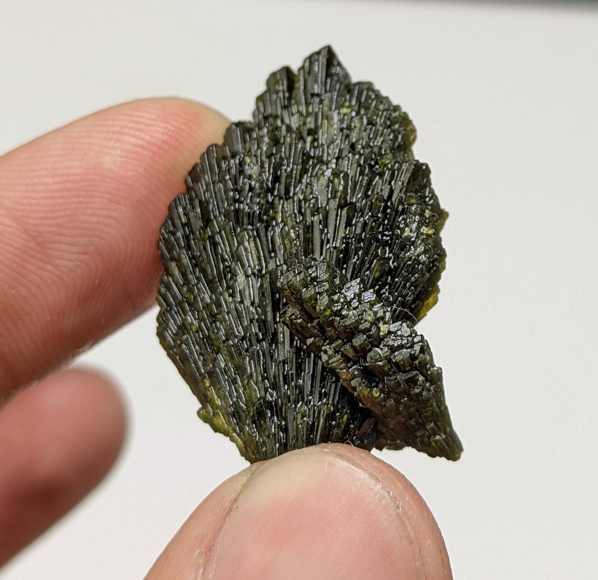 ARSAA GEMS AND MINERALSNatural green spray epidote crystal from Balochistan Pakistan, weight 11.2 grams - Premium  from ARSAA GEMS AND MINERALS - Just $20.00! Shop now at ARSAA GEMS AND MINERALS