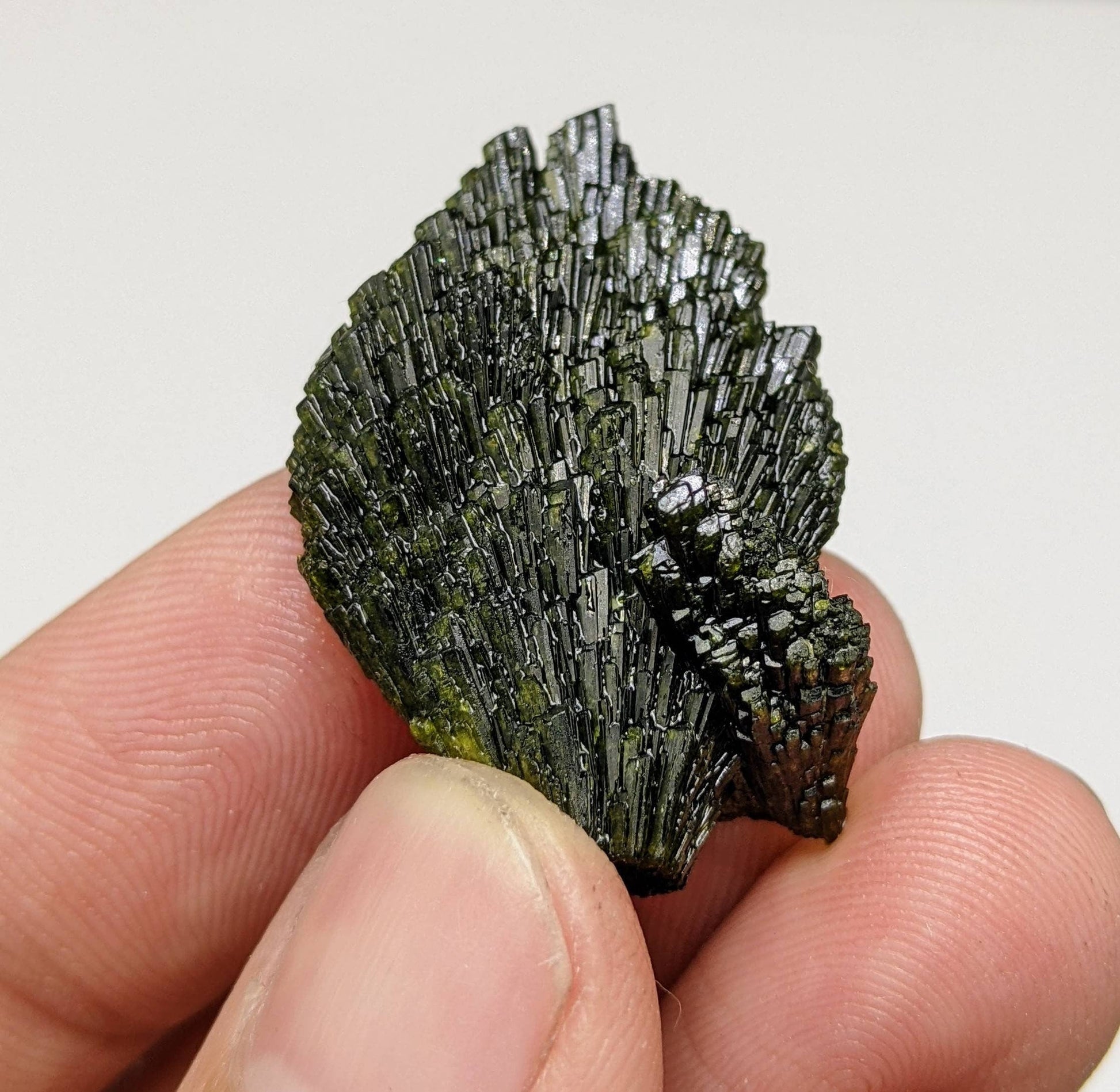 ARSAA GEMS AND MINERALSNatural green spray epidote crystal from Balochistan Pakistan, weight 11.2 grams - Premium  from ARSAA GEMS AND MINERALS - Just $20.00! Shop now at ARSAA GEMS AND MINERALS