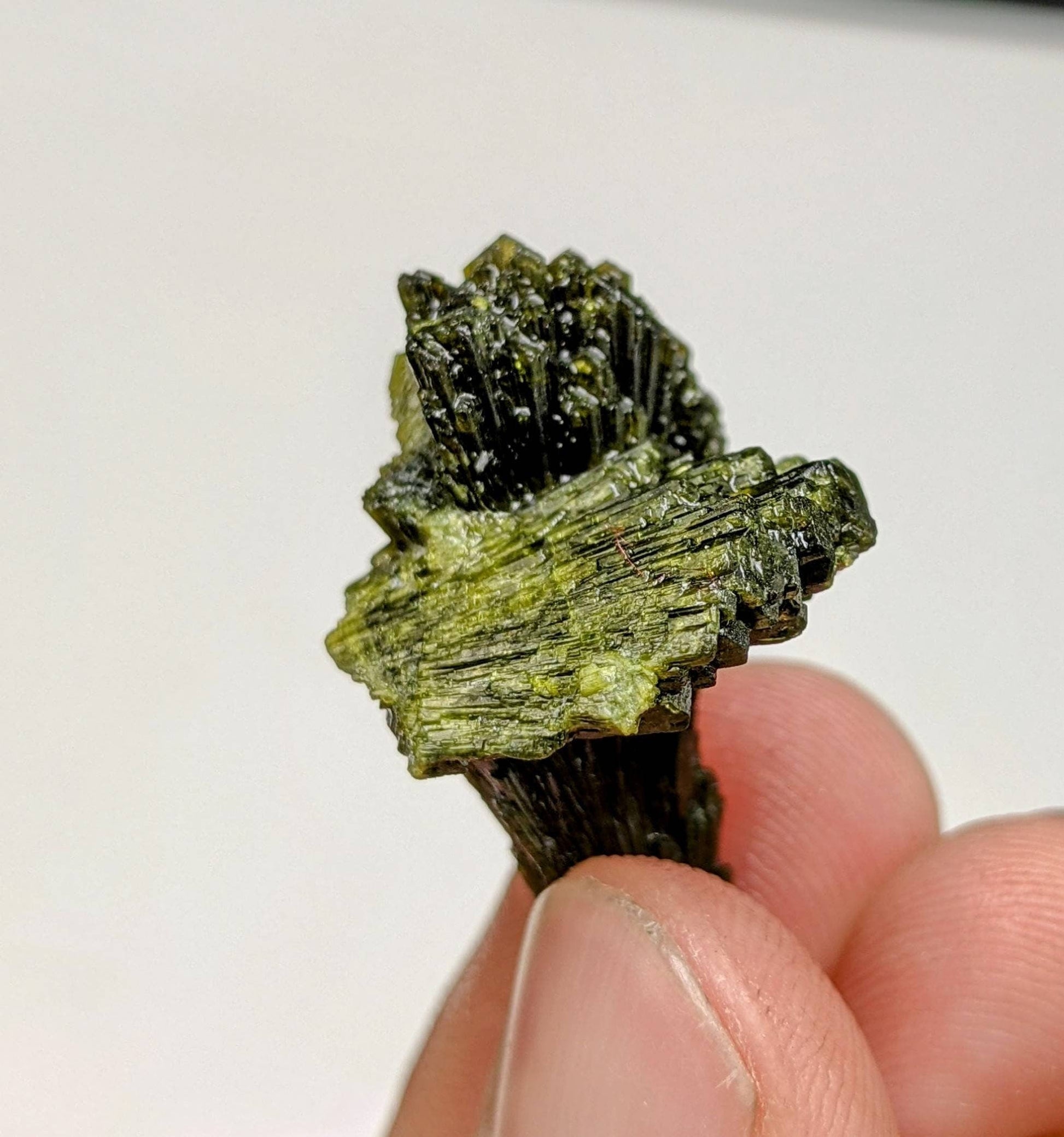 ARSAA GEMS AND MINERALSNatural green spray epidote crystal from Balochistan Pakistan, weight 7.1 grams - Premium  from ARSAA GEMS AND MINERALS - Just $20.00! Shop now at ARSAA GEMS AND MINERALS