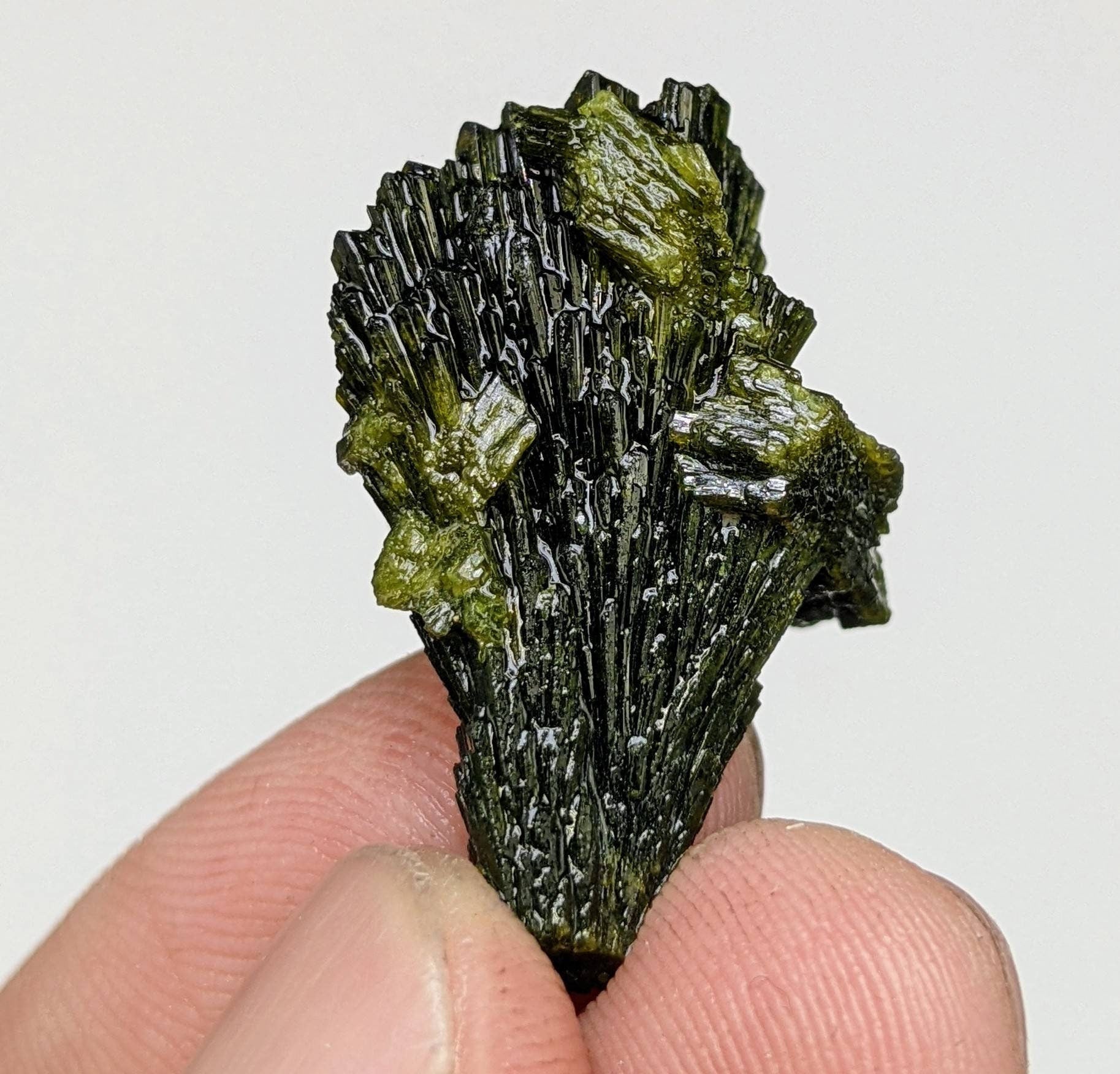 ARSAA GEMS AND MINERALSNatural green spray epidote crystal from Balochistan Pakistan, weight 7.1 grams - Premium  from ARSAA GEMS AND MINERALS - Just $20.00! Shop now at ARSAA GEMS AND MINERALS